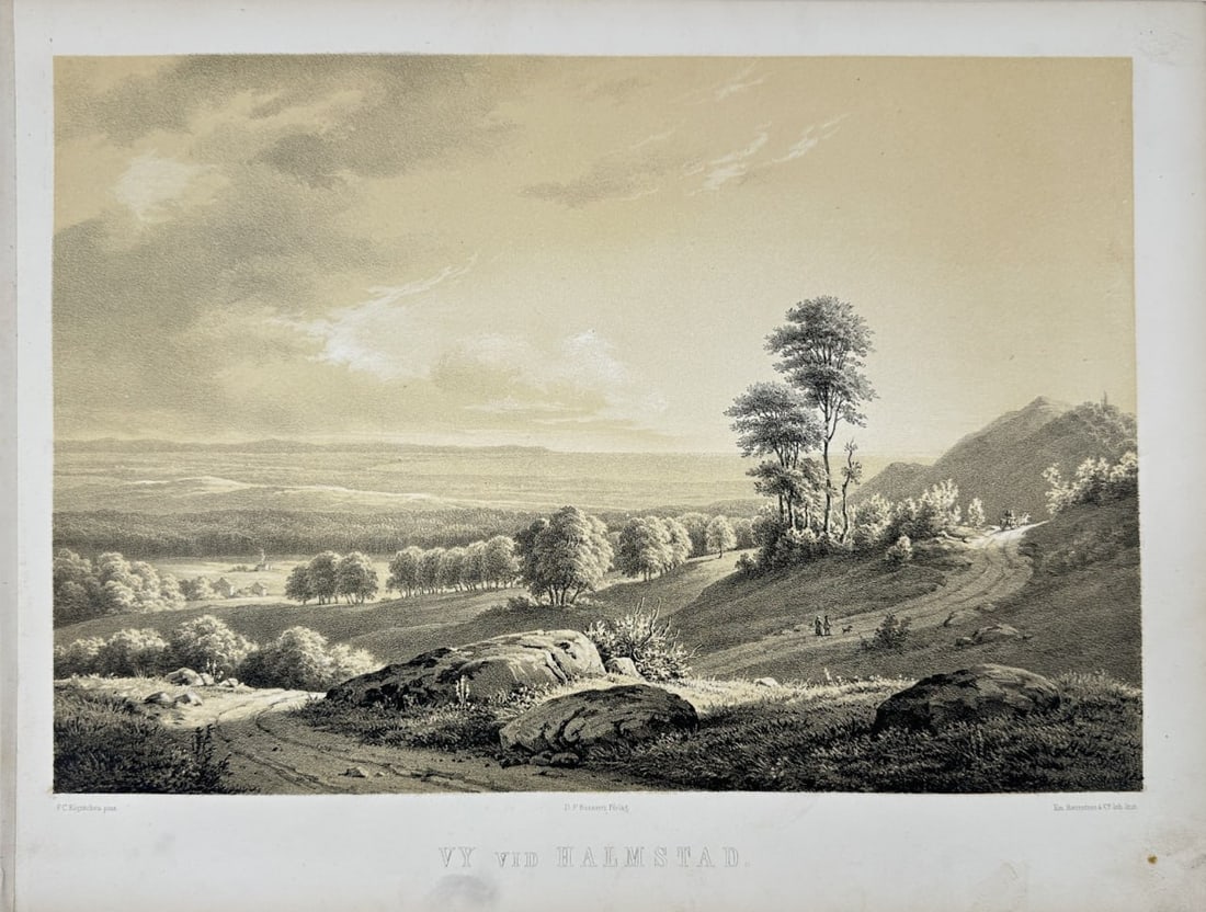 Alexander Nay – Antique Print – Vy vid Halmstad – Topographical – 1850-56: This chromolithography is from Alexander Nay and Johan August Berg's work ”Sverige Framstäldt i taflor” (Sweden Depicted in Plates) published by Albert Bonniers Förlag in Göteborg, 1850