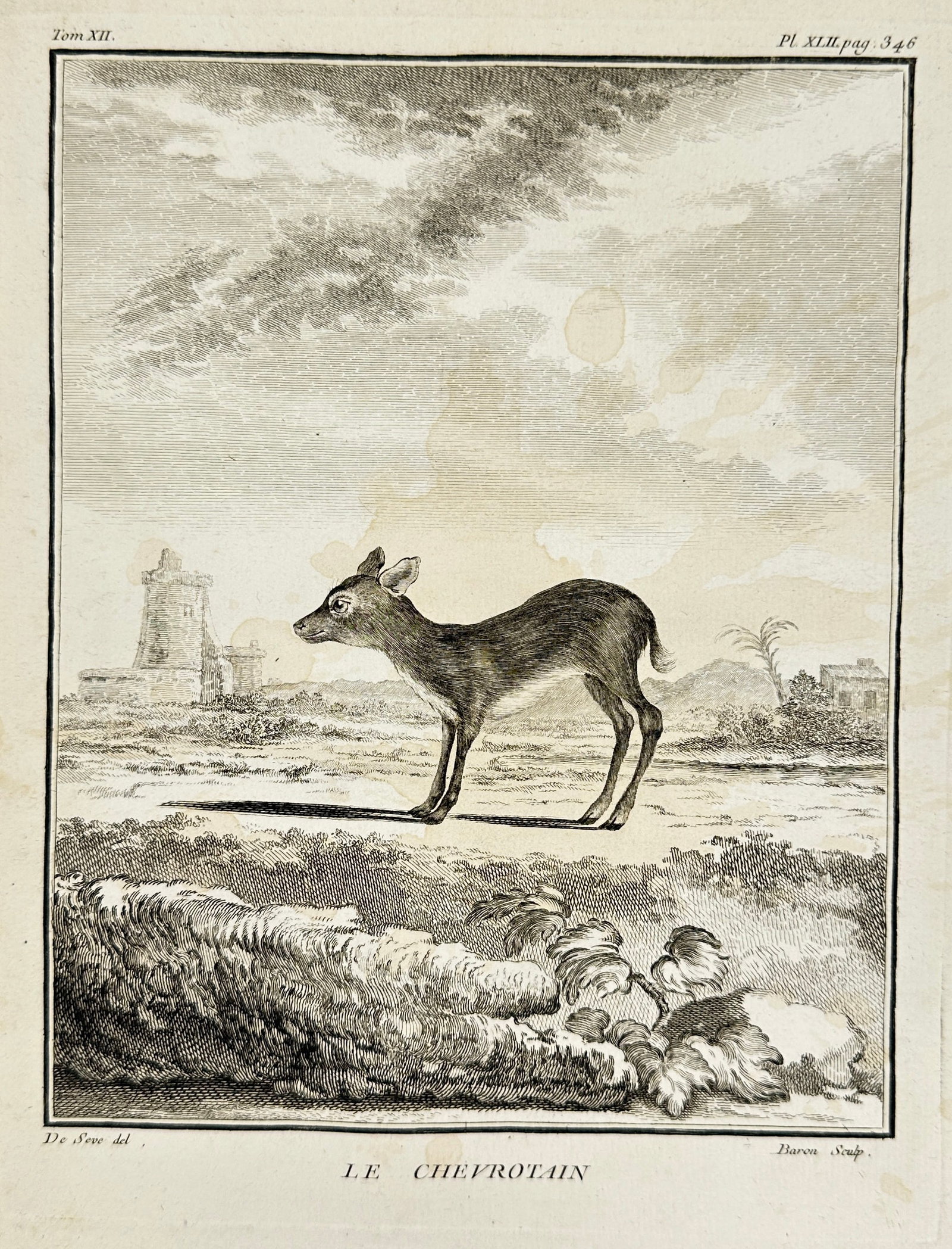 Jacques de Sève – Le Chevrotain – Copperplate Engraving (Late 18th Century) (1 of 3)