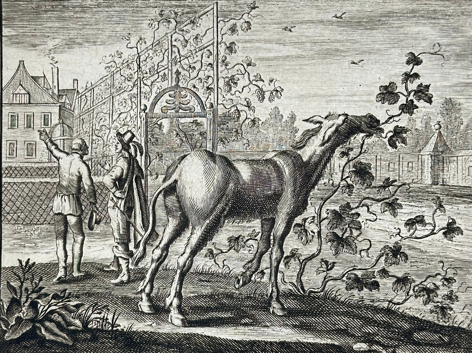 Adriaen van de Venne after Jacob Cats – Donkey and Vines – Copperplate Engraving (1656 Edition) (1 of 3)