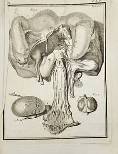 Jacques de Sève (fl. 1742–1788) – Anatomical Plate – Copperplate Engraving – 18th Century: This anatomical copperplate engraving by Jacques de Sève, active in 18th-century Paris, illustrates detailed cross-sections of the brainstem and adjacent structures, labeled with letters for scientif