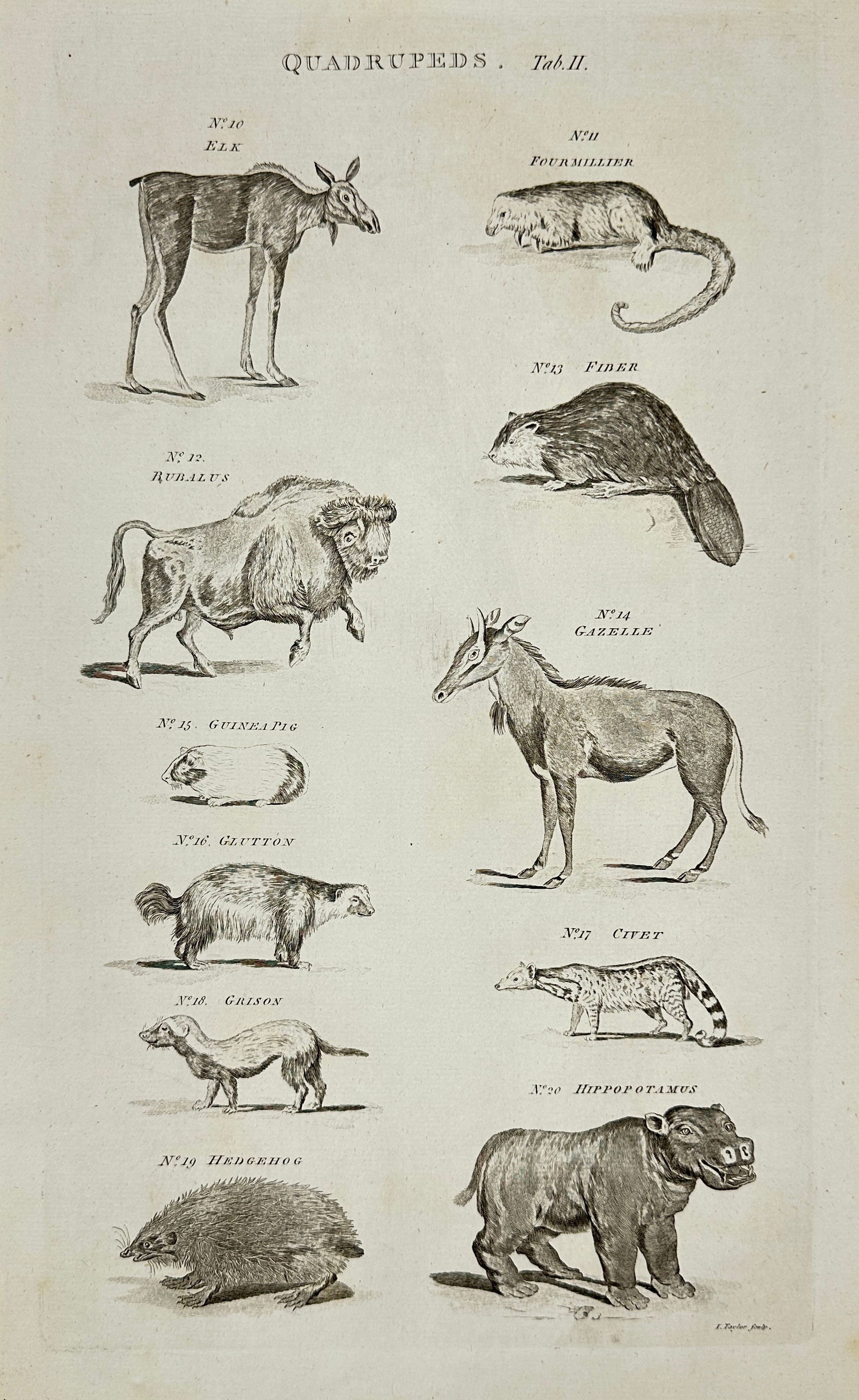 Isaac Taylor – Quadrupeds Plate II – Engraving – Late 18th Century (1 of 3)