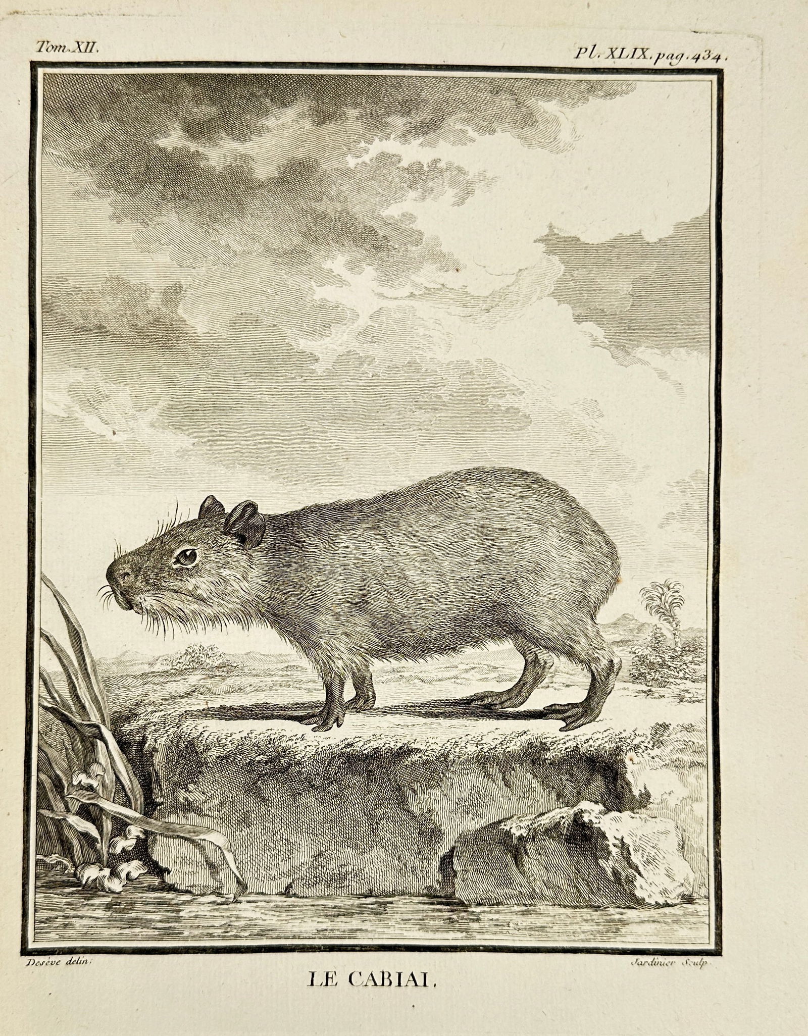 Claude Jardinier – Le Cabiai – Original Etching – 1771 (1 of 3)