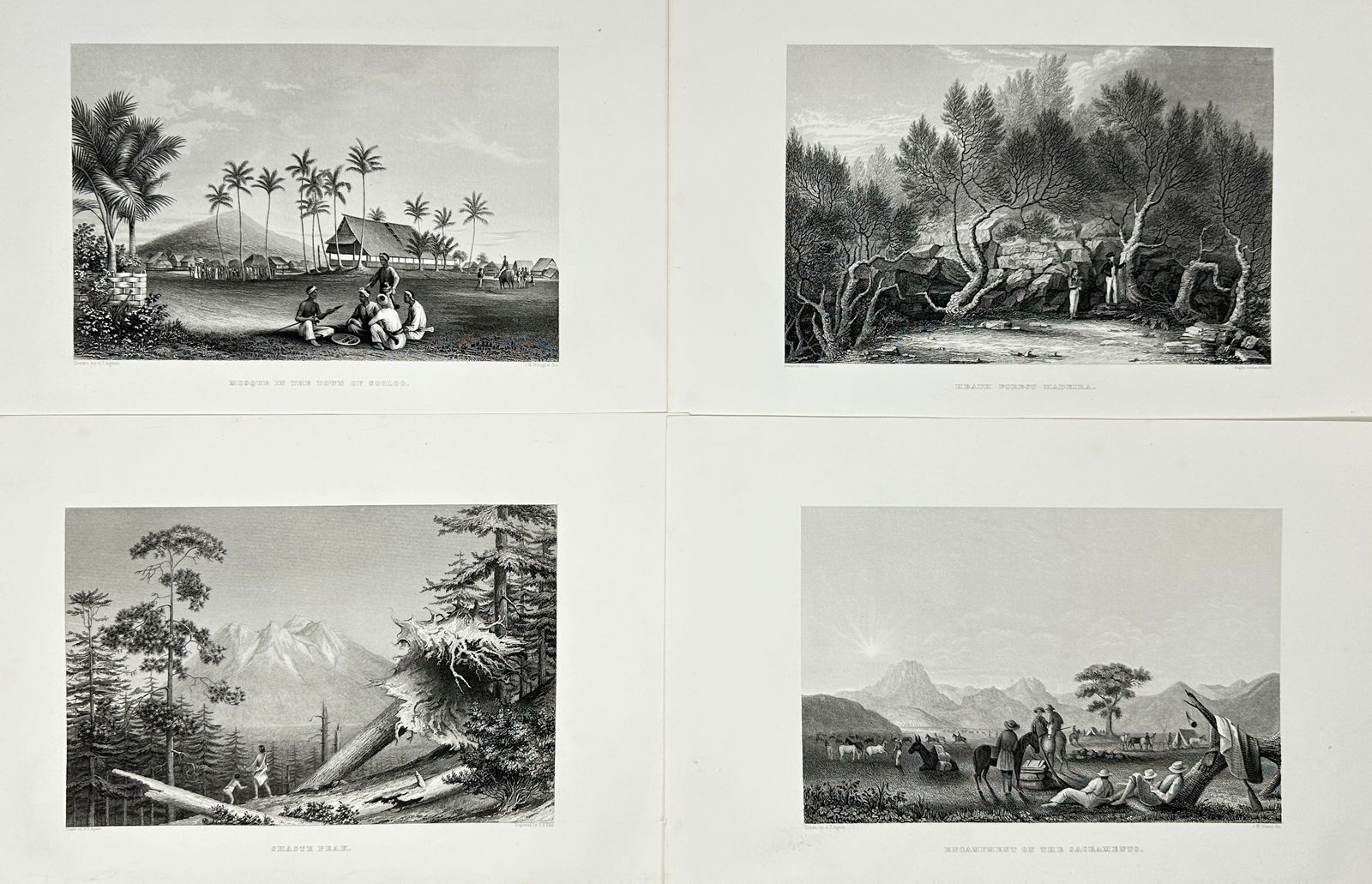 Alfred T. Agate (1812–1846) – Set of 4 Views from the U.S. Exploring Expedition – Steel (1 of 3)