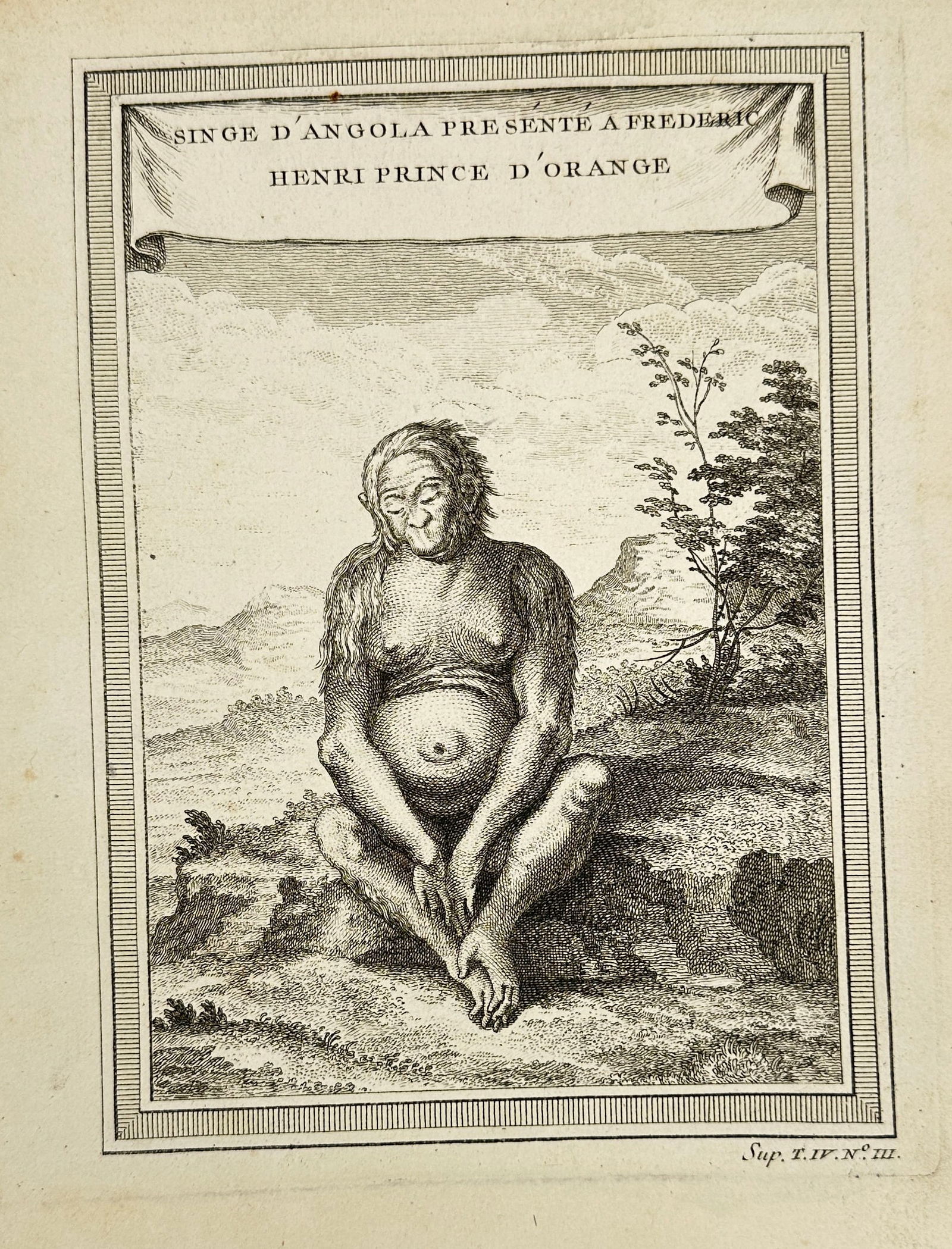 Jacques-Nicolas Bellin after Cochin fils – Ape from Angola Presented to Frederick Henry (1 of 3)