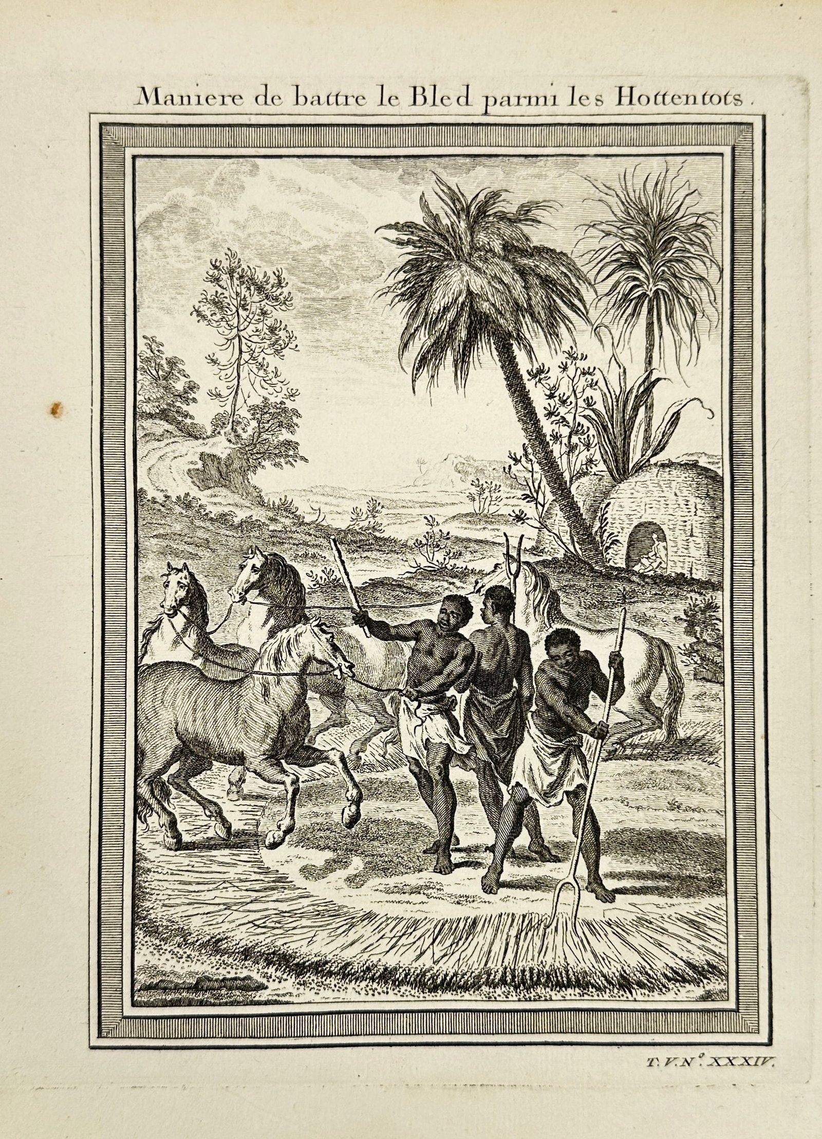 Jacques-Nicolas Bellin after Cochin fils – Threshing Grain among the Hottentots – Engraving: This copperplate engraving titled Manière de battre le Blé parmi les Hottentots depicts a traditional grain-threshing scene among the Khoikhoi people (referred to in the 18th century as "Hottentots"