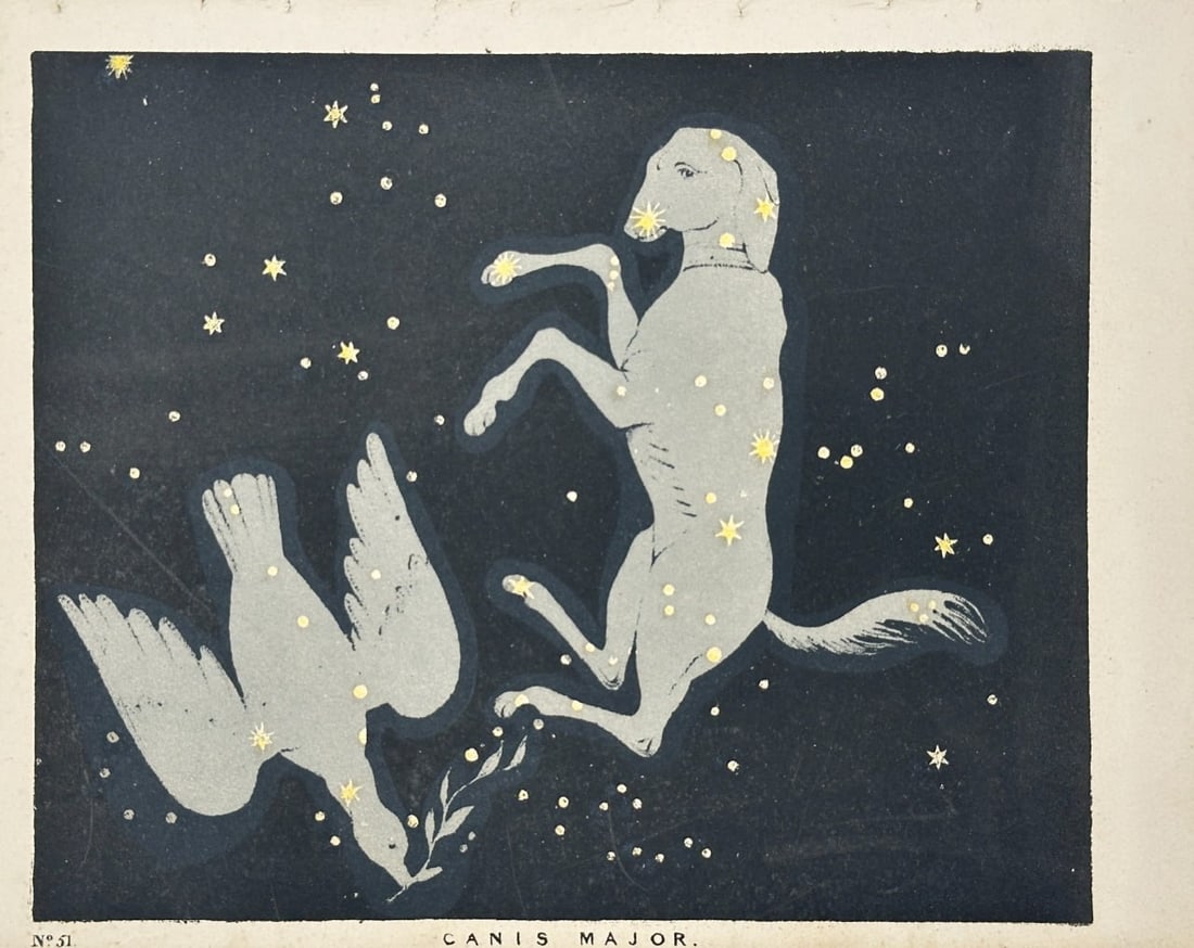 Charles Blunt (1803–1878) – Canis Major – Hand-Coloured Lithograph – c.1820s (1 of 3)