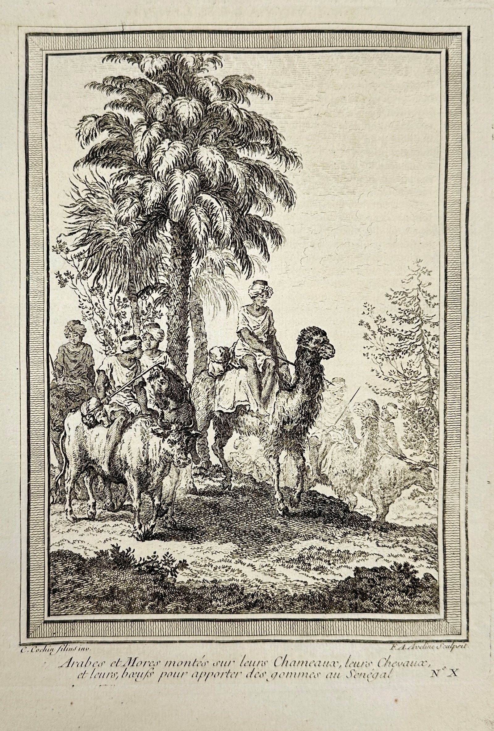 Jakob van der Schley – Arabes et Maures montés sur leurs Chameaux – Copperplate Engraving: This 1755 copperplate engraving by Jakob van der Schley illustrates a caravan of Arab and Moorish traders mounted on camels, horses, and oxen as they transport goods—specifically gum arabic—toward