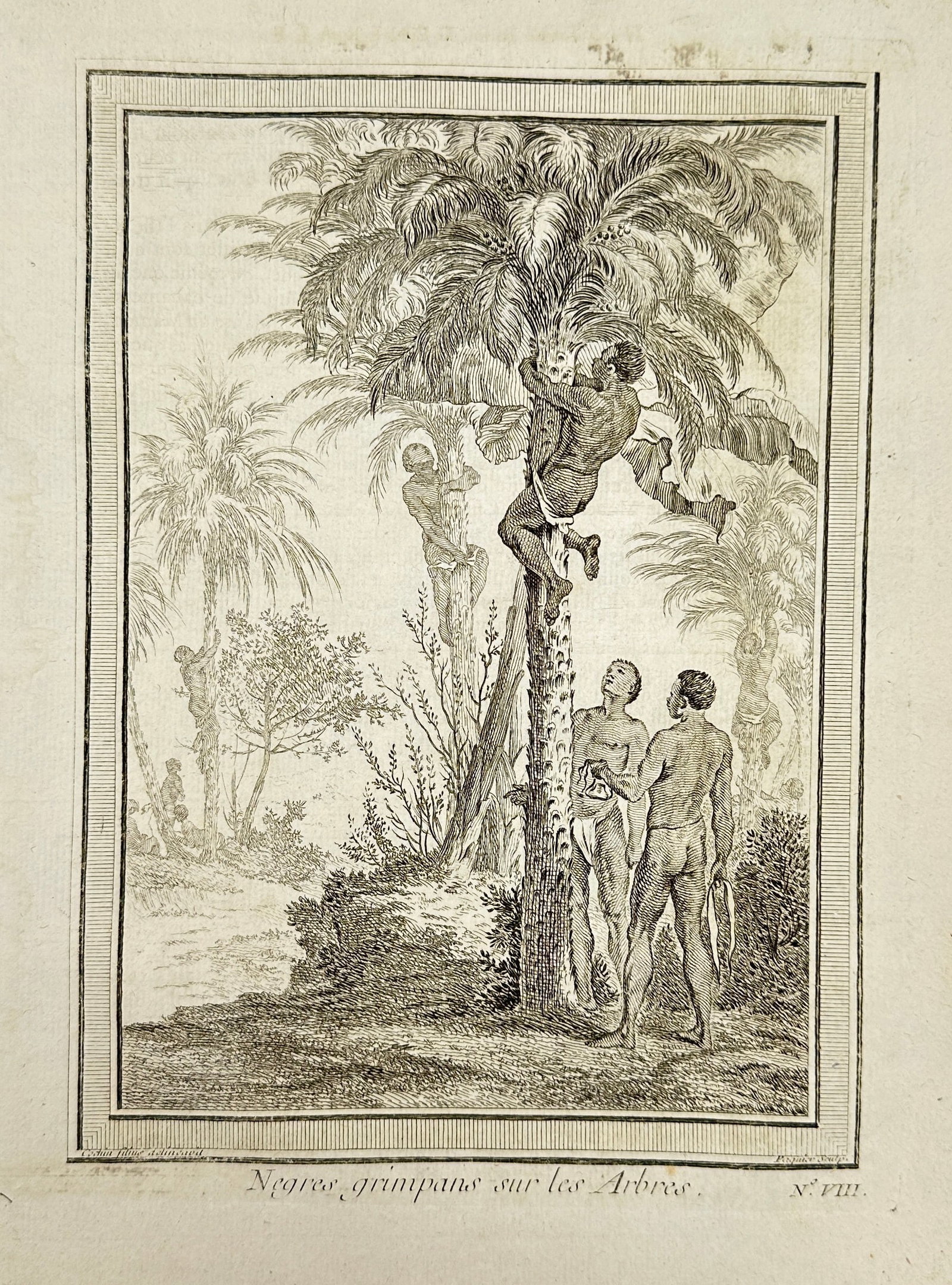 Jakob van der Schley (1715–1779) – Residents climbing trees – Copperplate Engraving: This 1746 copperplate engraving by Jakob van der Schley was created for Abbé Prévost’s monumental Histoire générale des voyages and depicts local residents climbing palm trees using traditional 