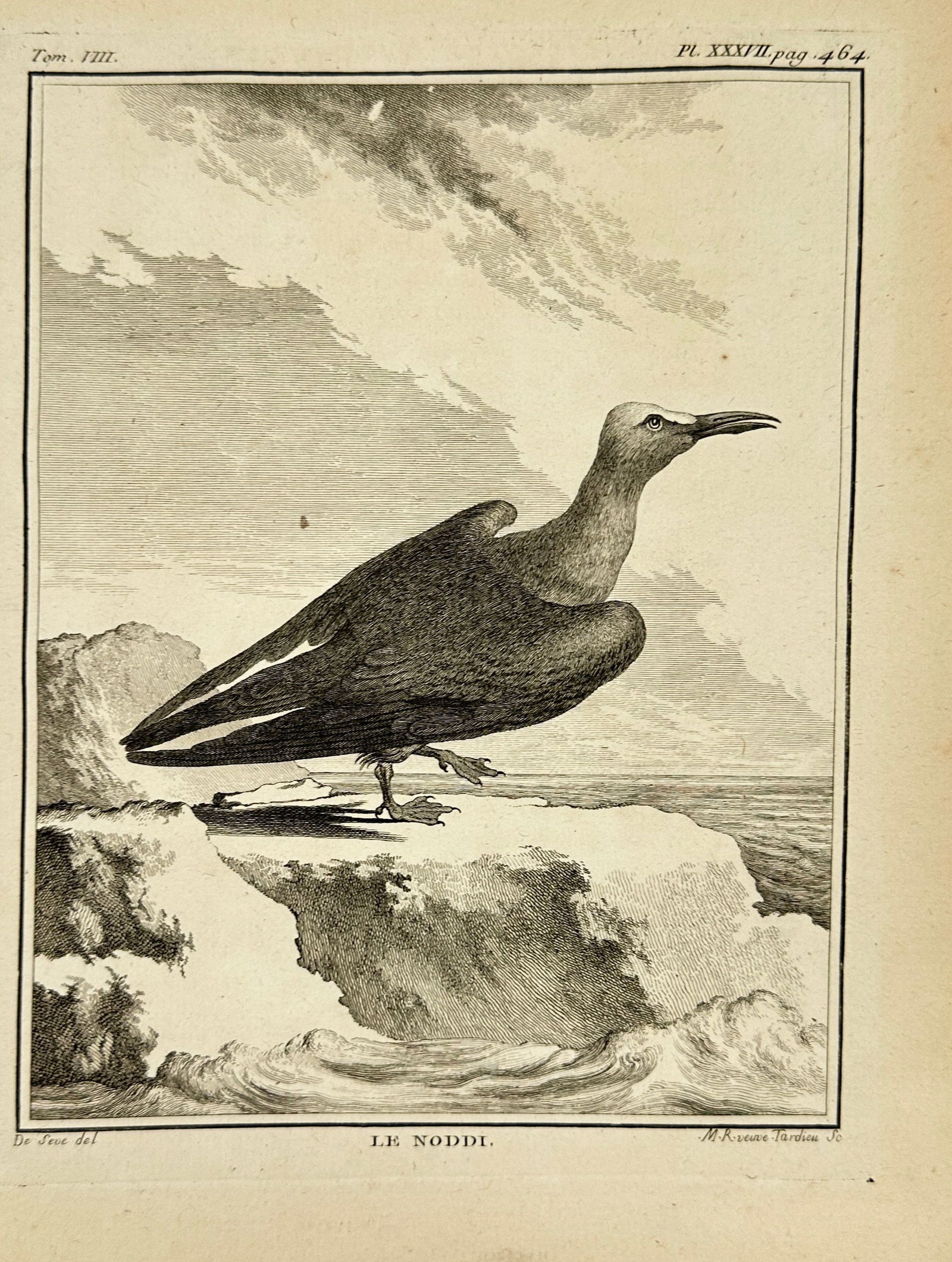 Jacques de Sève – The Noddy (Le Noddi) – Engraving – 18th Century (1 of 3)