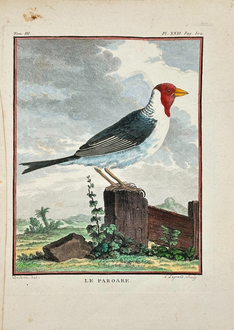 Jacques Eustache de Sève – Le Paroare – Hand-Colored Engraving (1766) (1 of 3)