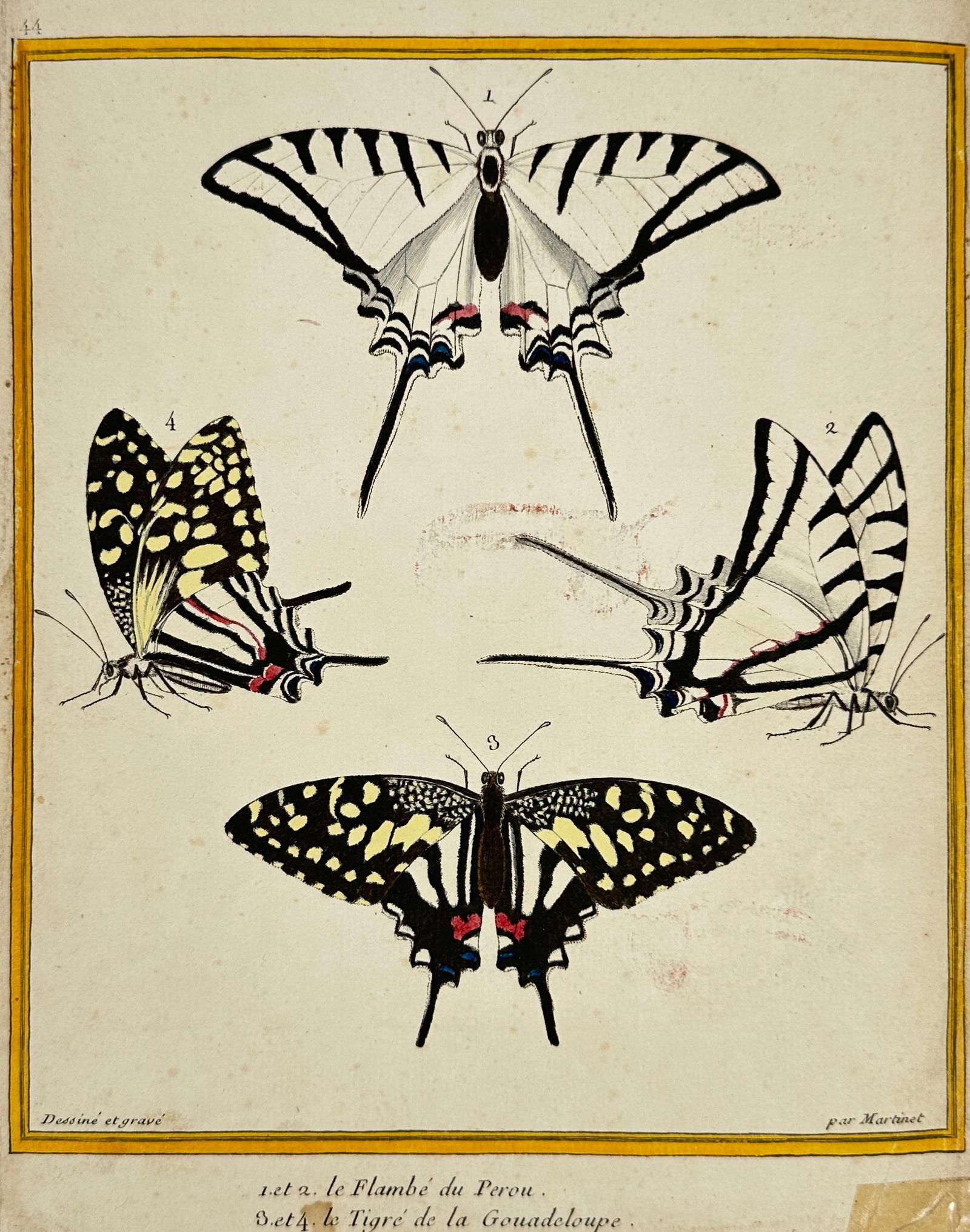 Georges-Louis Leclerc, Comte de Buffon – Butterflies of Peru – Hand-Colored Engraving (1 of 3)