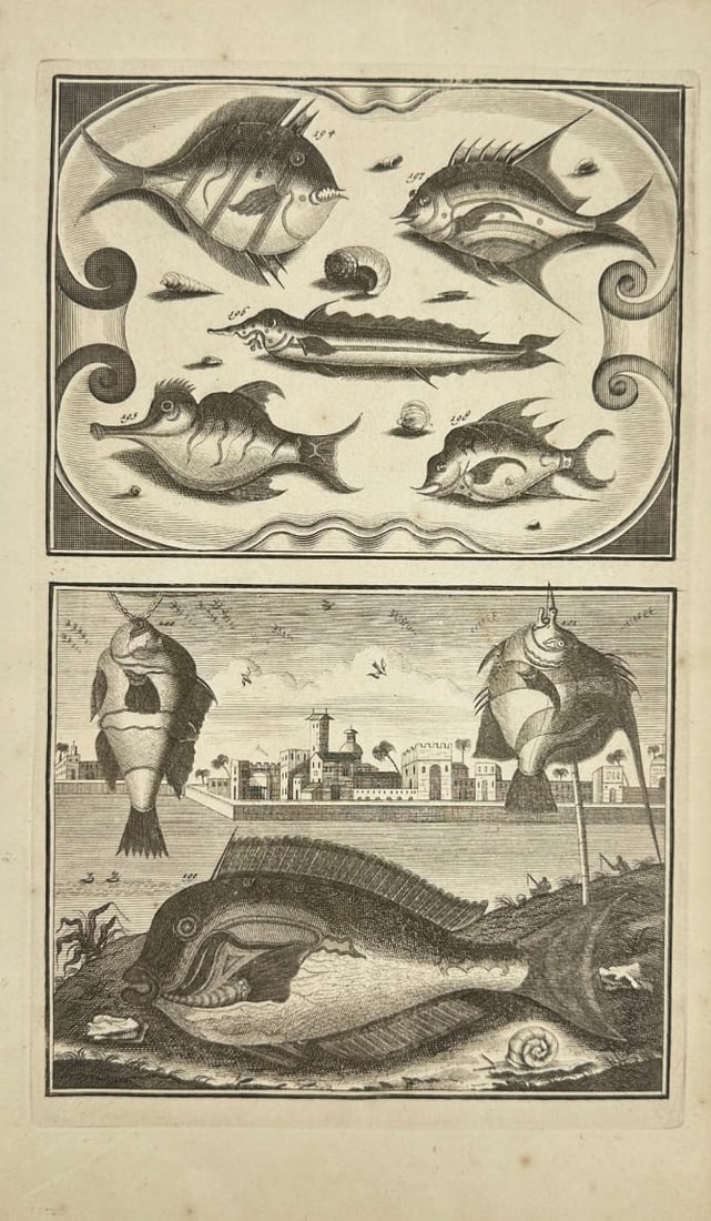 François Valentijn & Christoph Elliger – Marine Fishes of the East Indies – Copperplate (1 of 2)