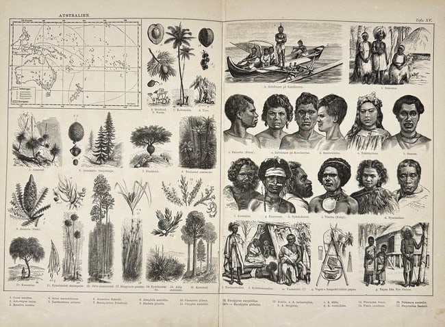 Karl Reiss – Australia: Geography, Flora, and Indigenous Peoples – Engraving (19th Century) (1 of 2)