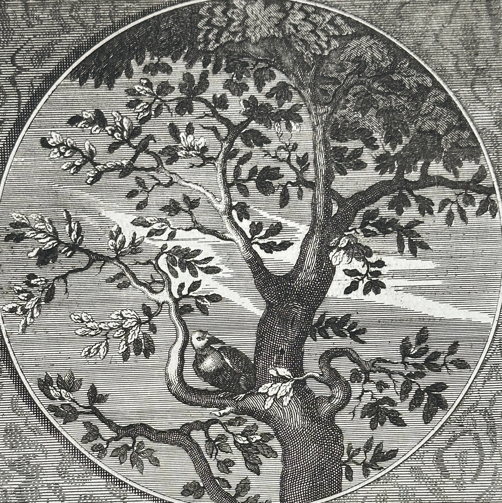 Jacob Cats – Repete (Repeat), Emblem VII – Engraving (1637): This engaging engraving, titled "R E P E T E." (Repeat.), is Emblem VII from Jacob Cats's influential emblem book, "Trou-ringh" (The Wedding Ring), first published in 1637. The circular image depicts