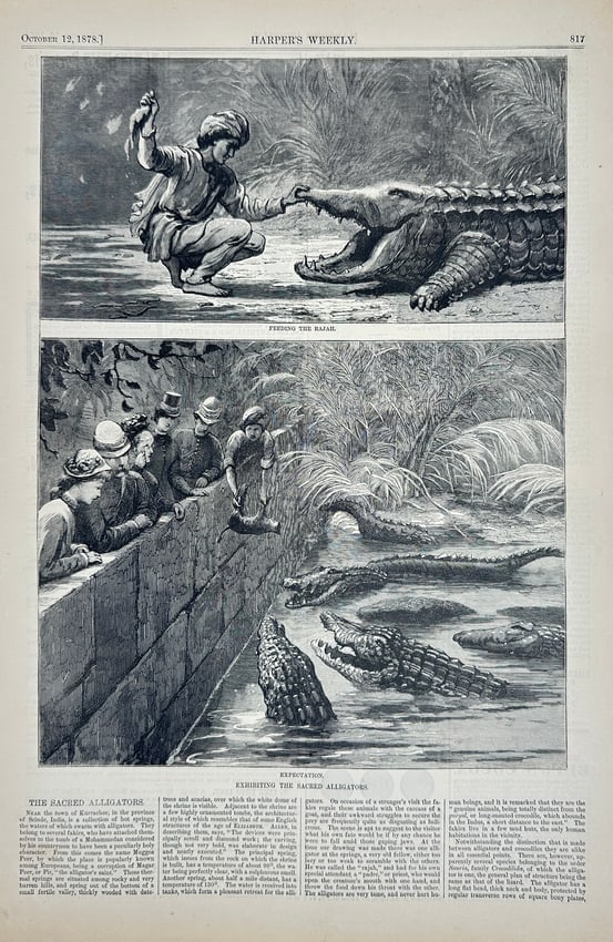 Harper’s Weekly – Feeding the Rajah / Expectation: Exhibiting the Alligator – Wood Engraving: This two-part wood engraving, published in Harper’s Weekly on October 12, 1878, illustrates the ritualistic feeding of sacred alligators in the town of Kurrachee, Sindh (present-day Pakistan). The u