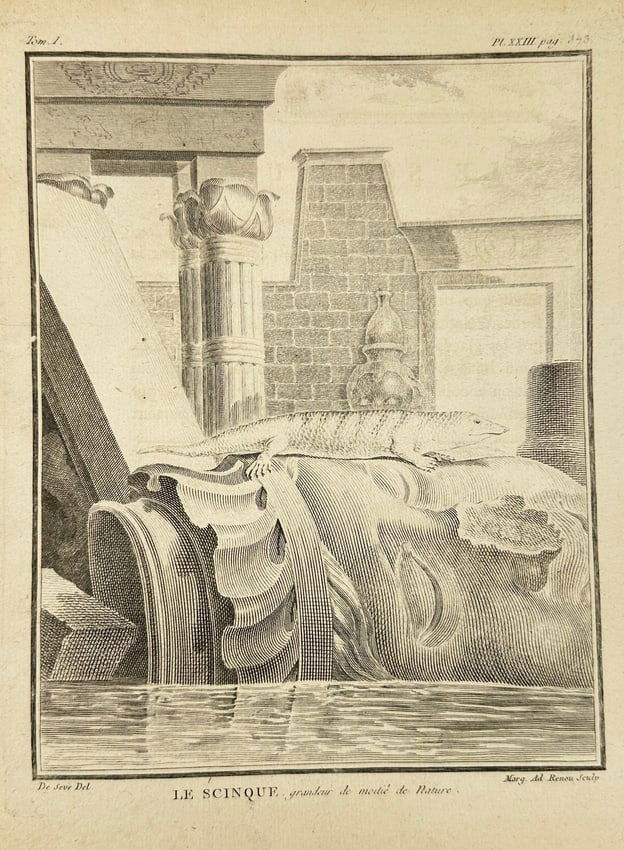 Jacques de Sève – Le Scinque, Guardian du Trésor de Patara – Copperplate Engraving (1 of 3)