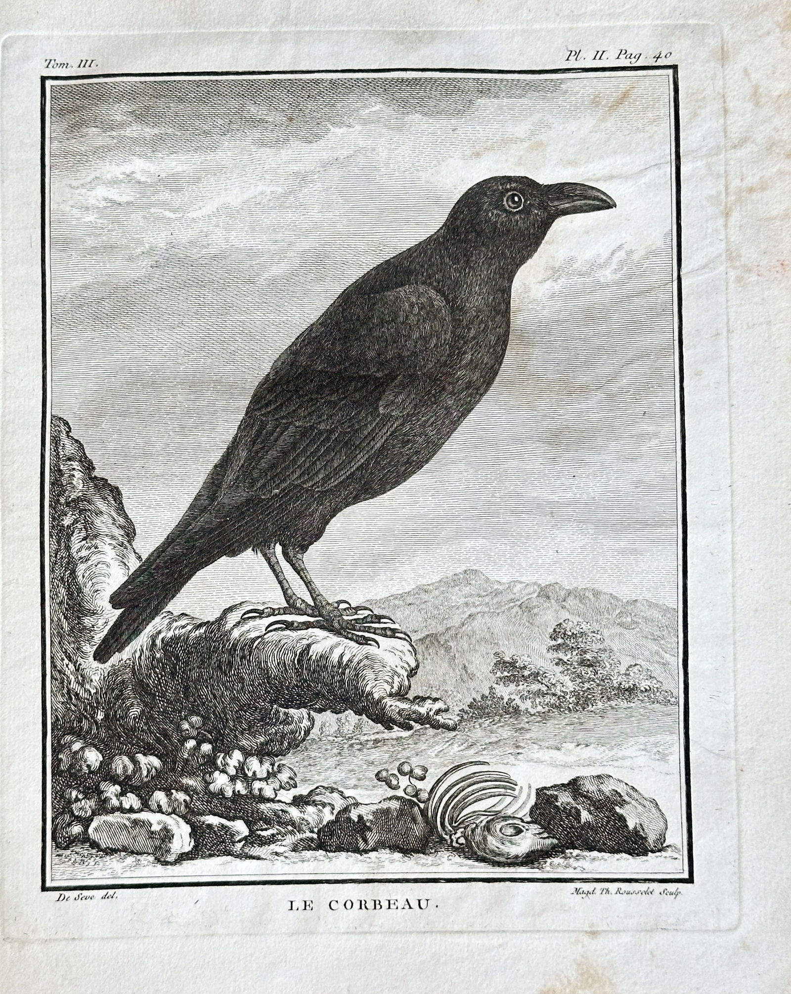 Jacques de Sève (fl. 1742–1788) – The Raven – Copperplate Engraving (1774) (1 of 3)