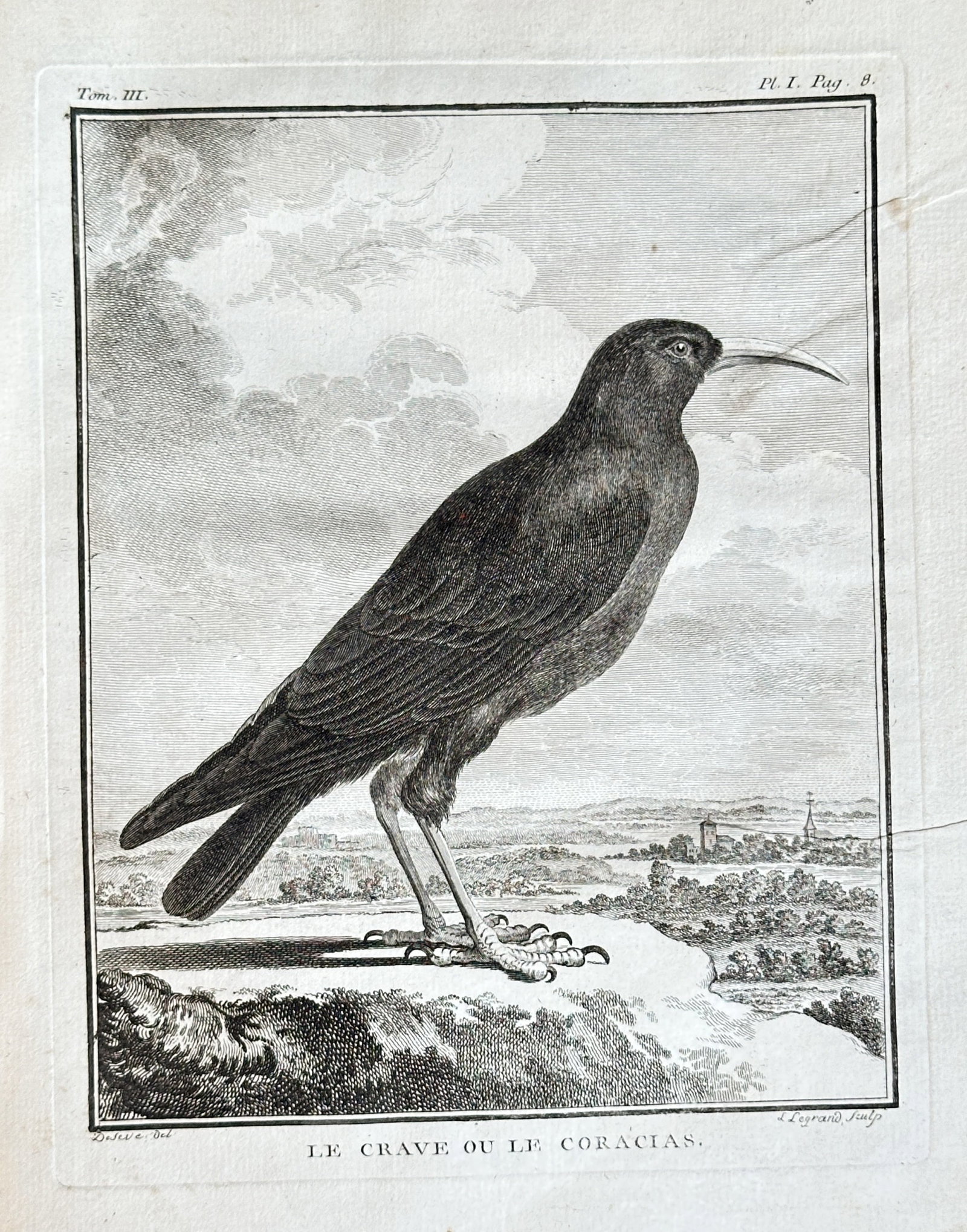 Georges-Louis Leclerc, Comte de Buffon – Le Crave ou Le Coracias: This detailed engraving illustrates "LE CRAVE OU LE CORACIAS" (The Chough or Eurasian Roller). The print depicts the bird in profile, perched on a rocky ledge overlooking a panoramic landscape that in