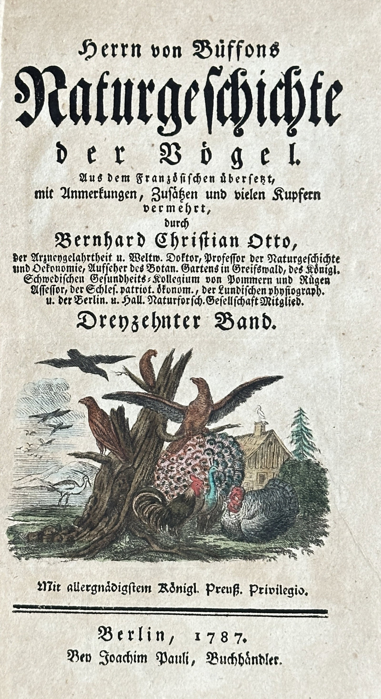Georges-Louis Leclerc, Comte de Buffon – German Edition Title Page for Buffon's Natural History: This original 18th-century hand-coloured engraving serves as the title page for the thirteenth volume of "Herrn von Buffons Naturgeschichte der Vögel." (Mr. von Buffon's Natural History of Birds). Th