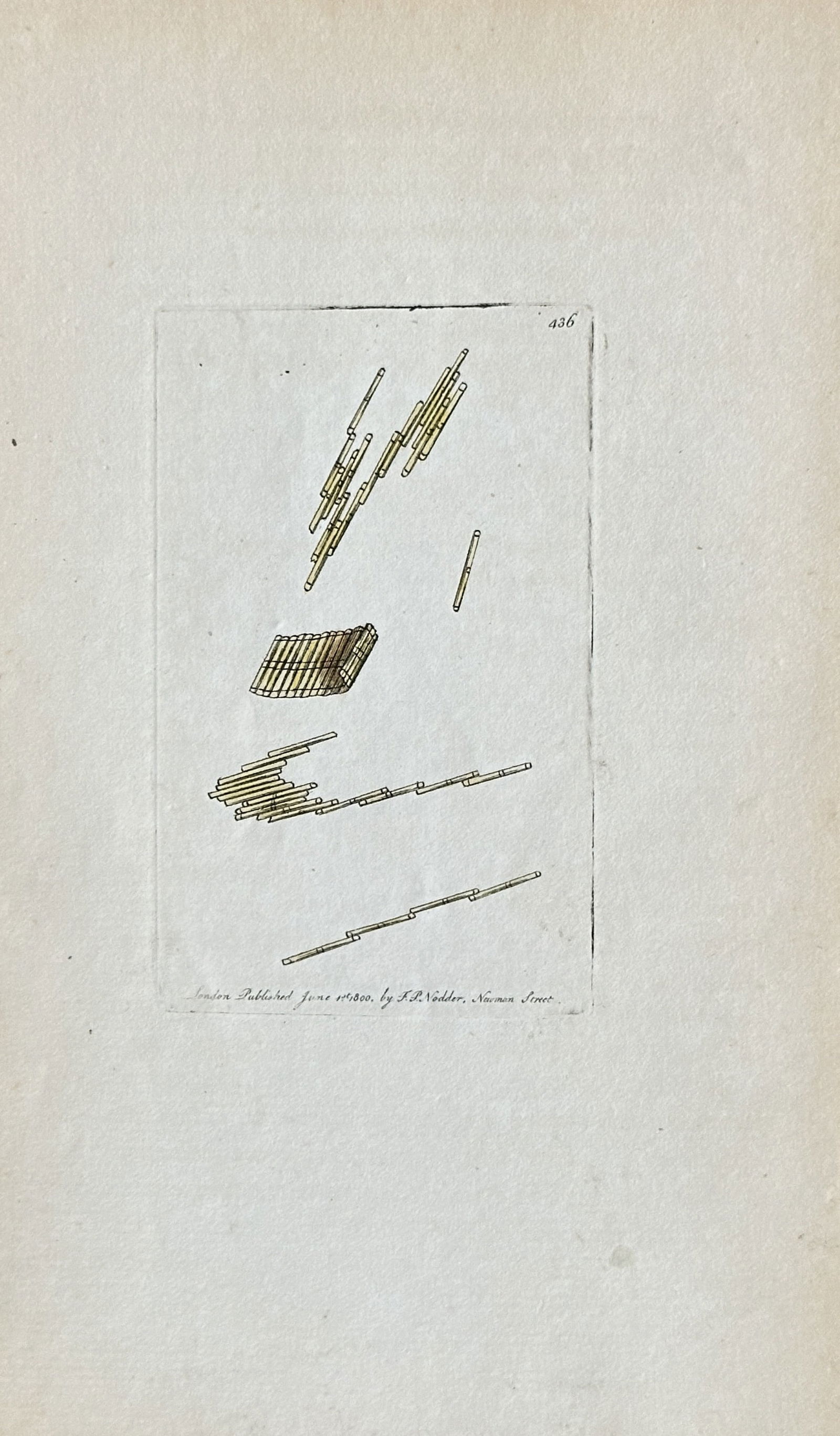 Frederick Polydore Nodder – Tremella Nostoc (Witch's Butter Fungus) – Copperplate Engraving – (1 of 3)
