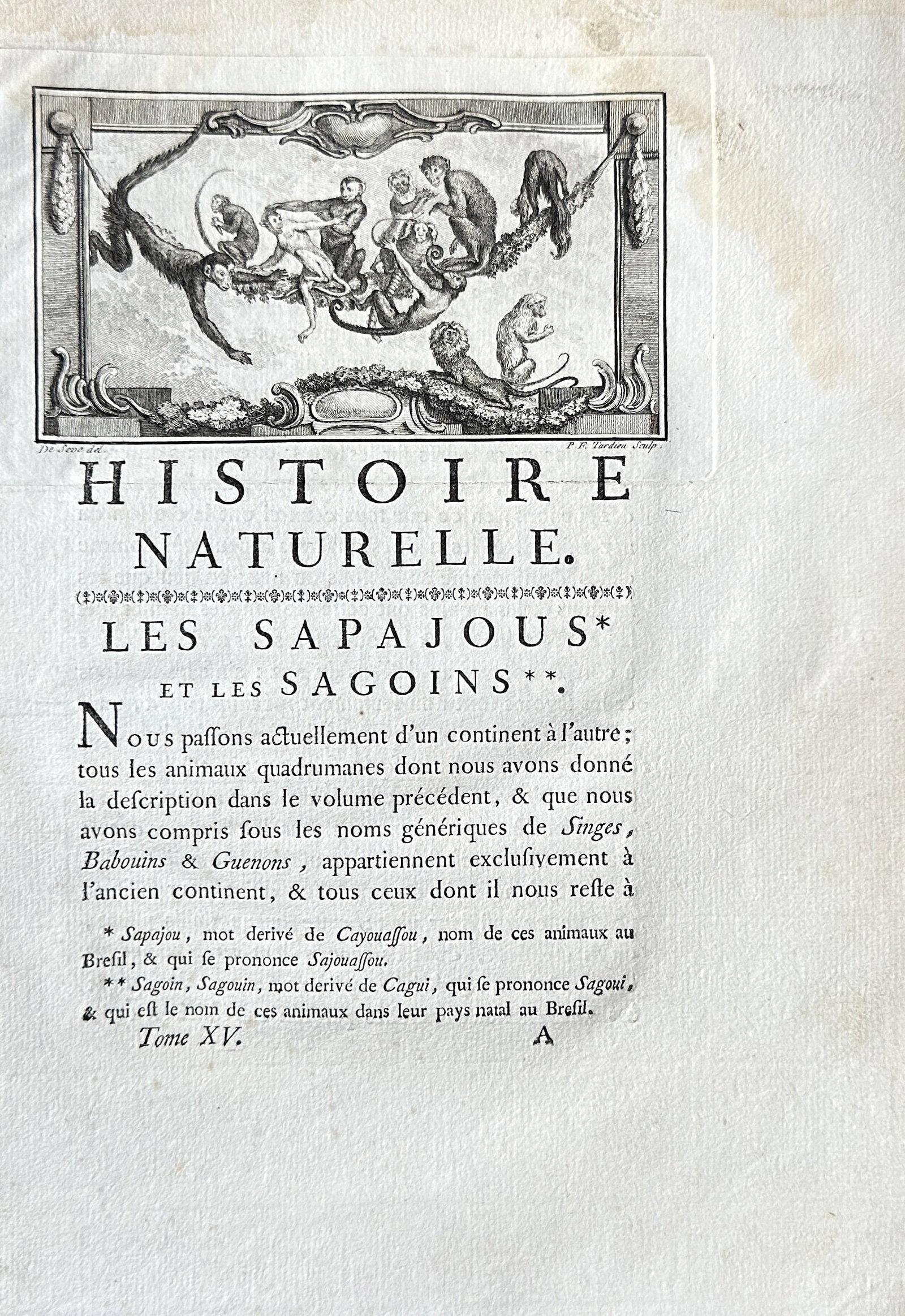 Buffon & de Sève – Sapajous & Sagouins (New World Monkeys) – Engraving – c. 1760: This is an original 18th-century chapter title page, complete with an engraved headpiece, from the Comte de Buffon's monumental "Histoire Naturelle, générale et particulière." Published in Paris ci