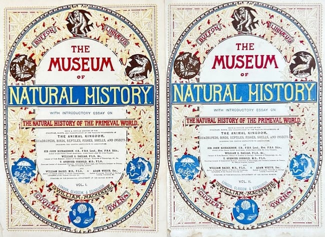 William Mackenzie – Set of 2: Museum of Natural History Title Pages – Chromolithograph: These two striking chromolithograph title pages present the elaborate visual identity of The Museum of Natural History, a comprehensive multi-volume encyclopedia published by William Mackenzie. Each p
