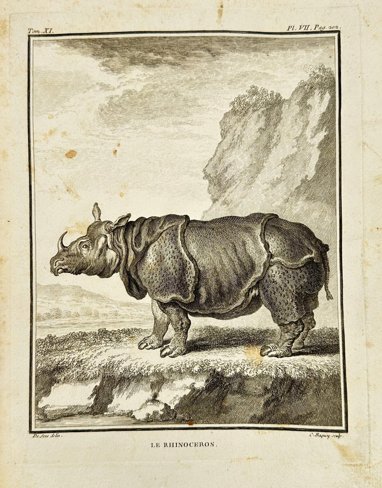 Jacques de Sève – Le Rhinocéros – Copperplate Engraving from Buffon’s “Histoire (1 of 3)