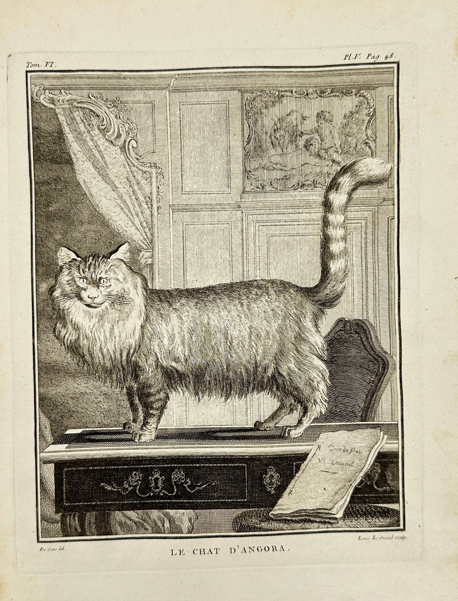 Louis Le Grand (active 18th century)  – Angora Cat (Le Chat d’Angora) – Engraving (1 of 3)