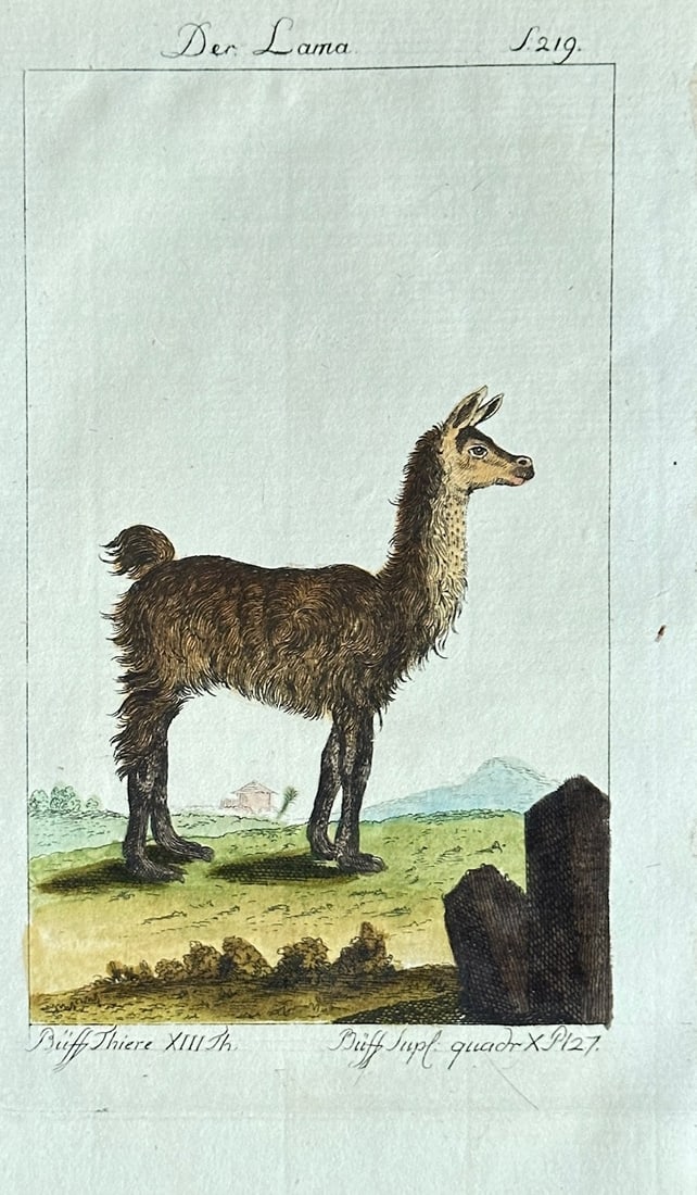Georges Louis Leclerc, Comte de Buffon – The Llama – Hand-coloured Engraving: This hand-coloured engraving is a detailed zoological illustration of a llama. The animal is depicted in profile, standing on a grassy patch of ground with mountains and a small building in the backgr