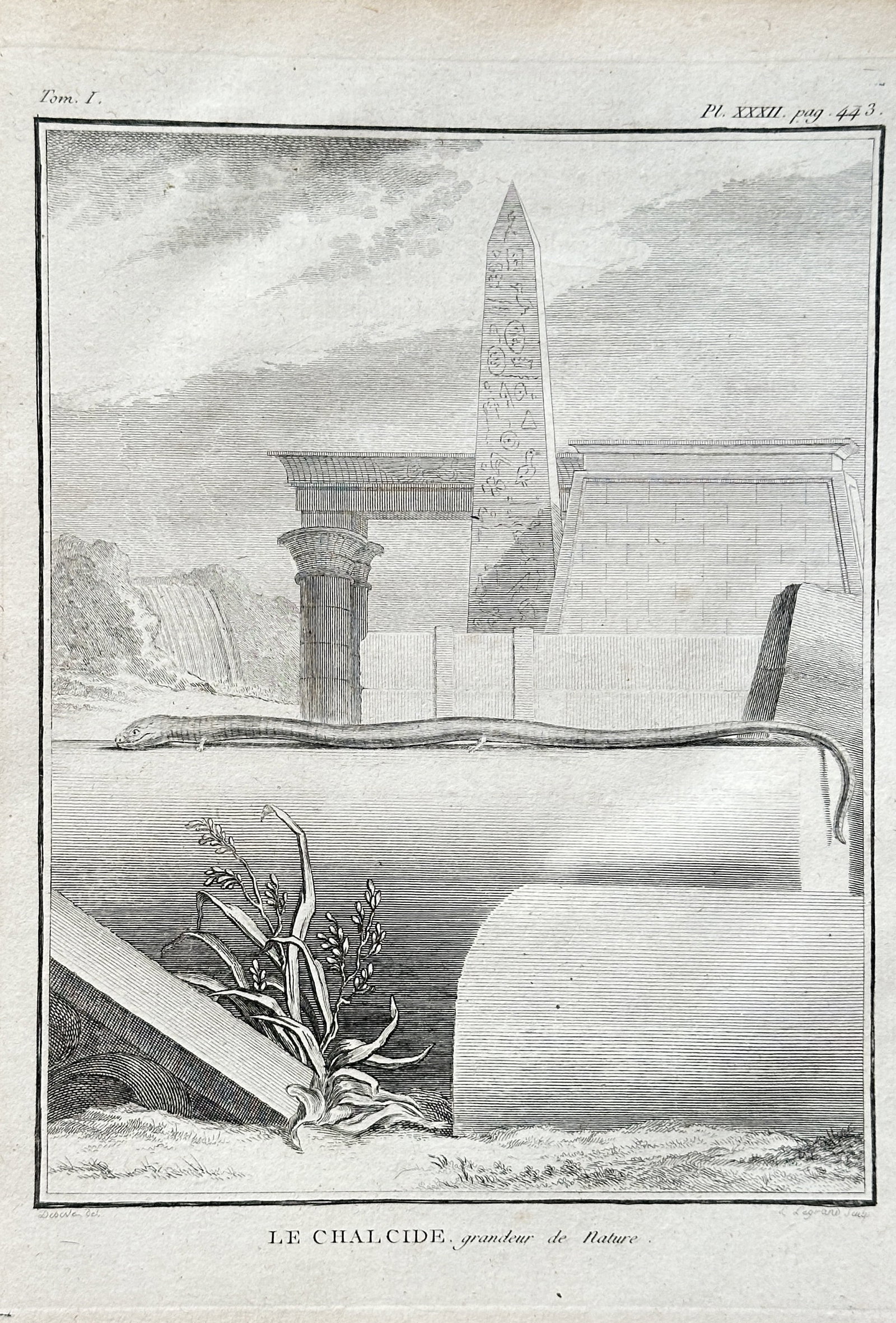 Georges-Louis Leclerc, Comte de Buffon (1707–1788) – The Skink – Engraving (1749–1788): This engraving from Buffon's monumental publication Histoire Naturelle is a scientific illustration titled The Skink. The plate, from Volume I of the series, depicts a skink in a landscape with Egypti