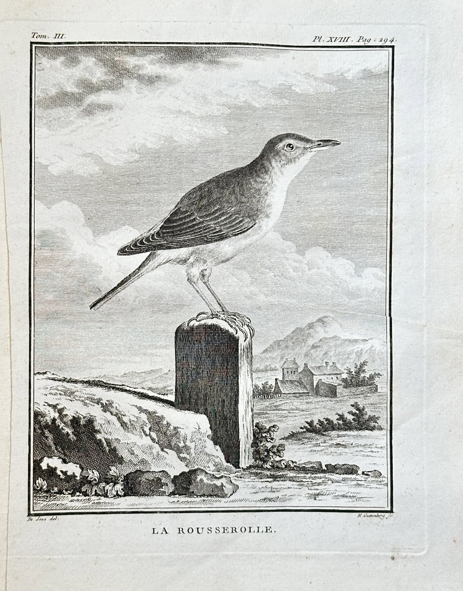 Georges Louis Leclerc, Comte de Buffon (1707–1788) – The Reed Warbler – Engraving (1779): This engraving, from the publication Histoire Naturelle des Oiseaux, depicts a reed warbler perched on a wooden post in a rural landscape. The work is a detailed scientific illustration. Georges Louis