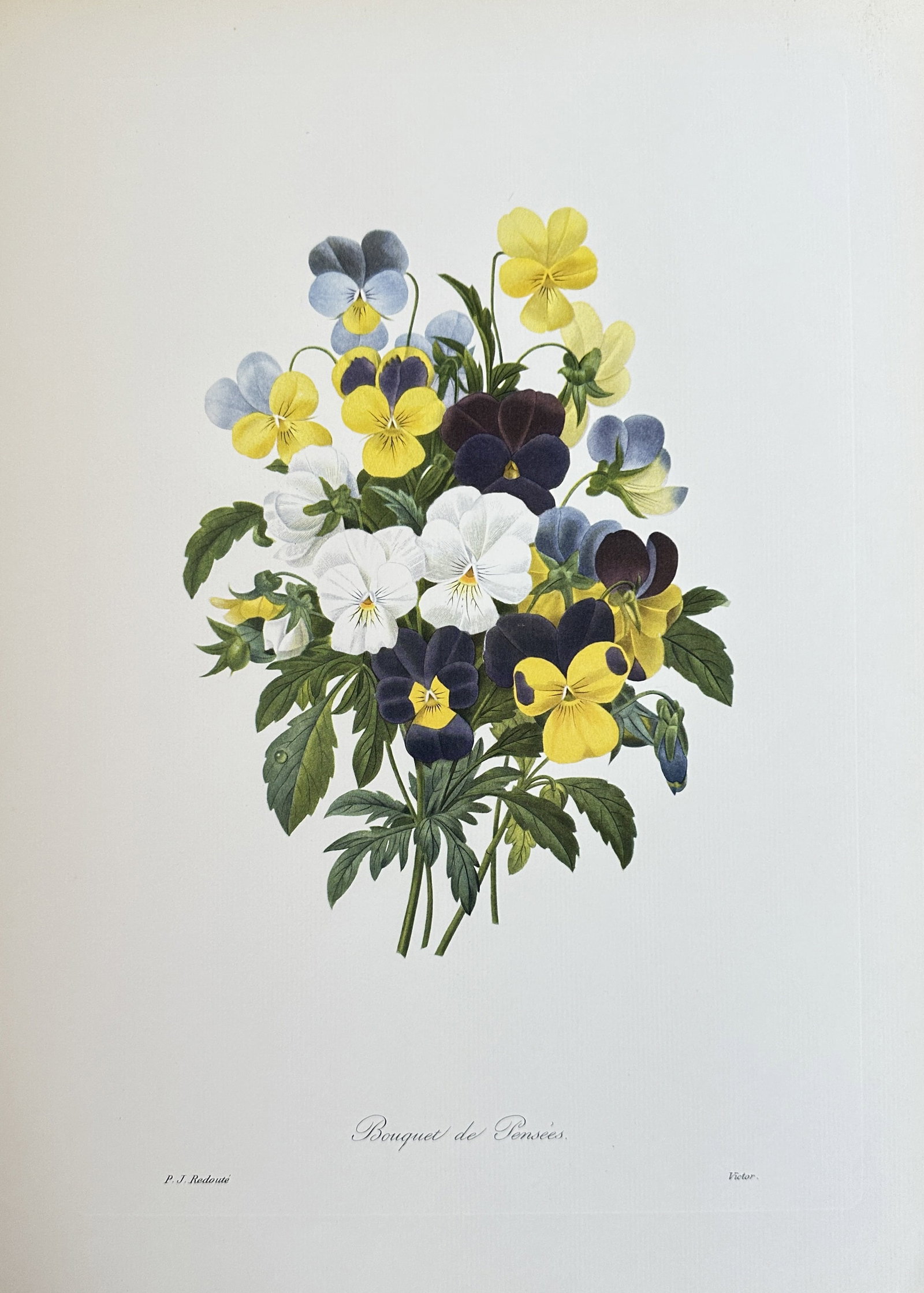 after Pierre-Joseph Redouté – Bouquet of Pansies – offset lithograph: Published in 1954, copyright by The Ariel Press, London W.1, printed in Germany by K. G. Lohse, Frankfurt am Main.This offset lithograph, features a charming "Bouquet de Pensées," or Bouquet of Pansi