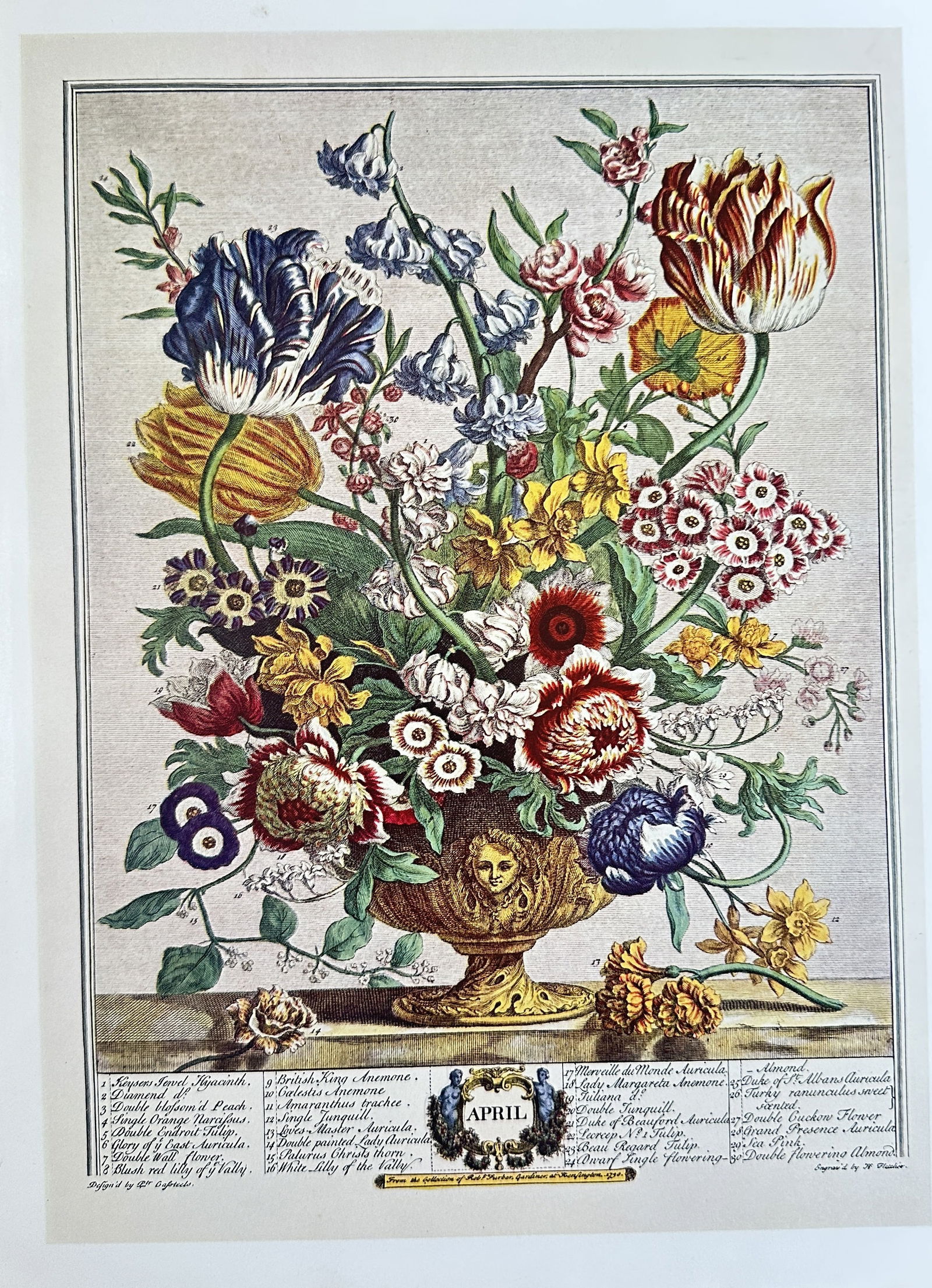 Henry Fletcher (1715-1738) – Twelve Months of Flowers: April – Hand-Coloured Engraving (1730) (1 of 3)