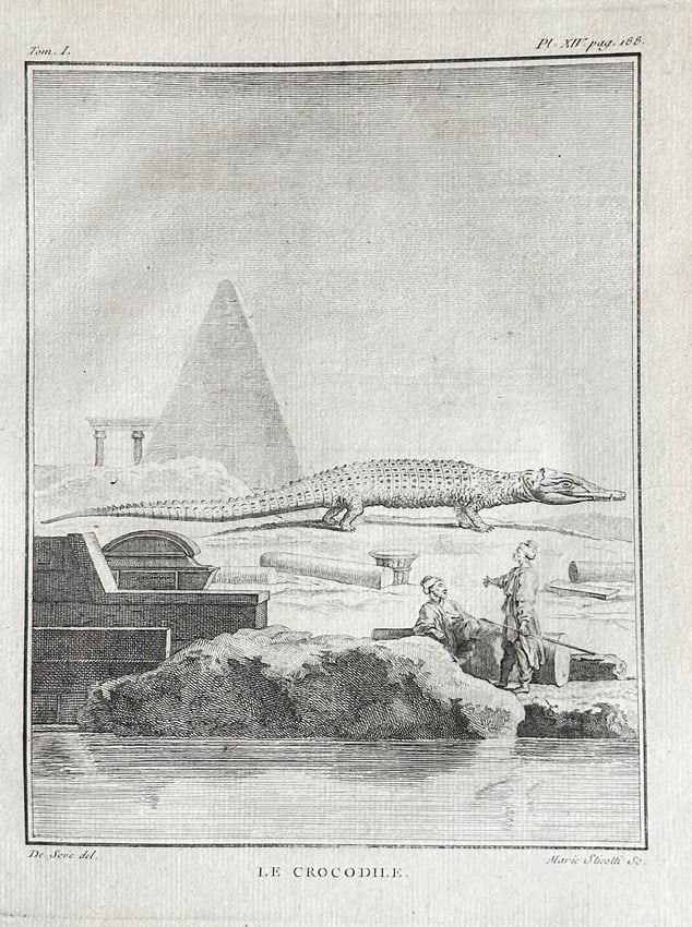 Georges Louis Leclerc, Comte de Buffon (1707–1788) – The Crocodile – Engraving (1 of 3)