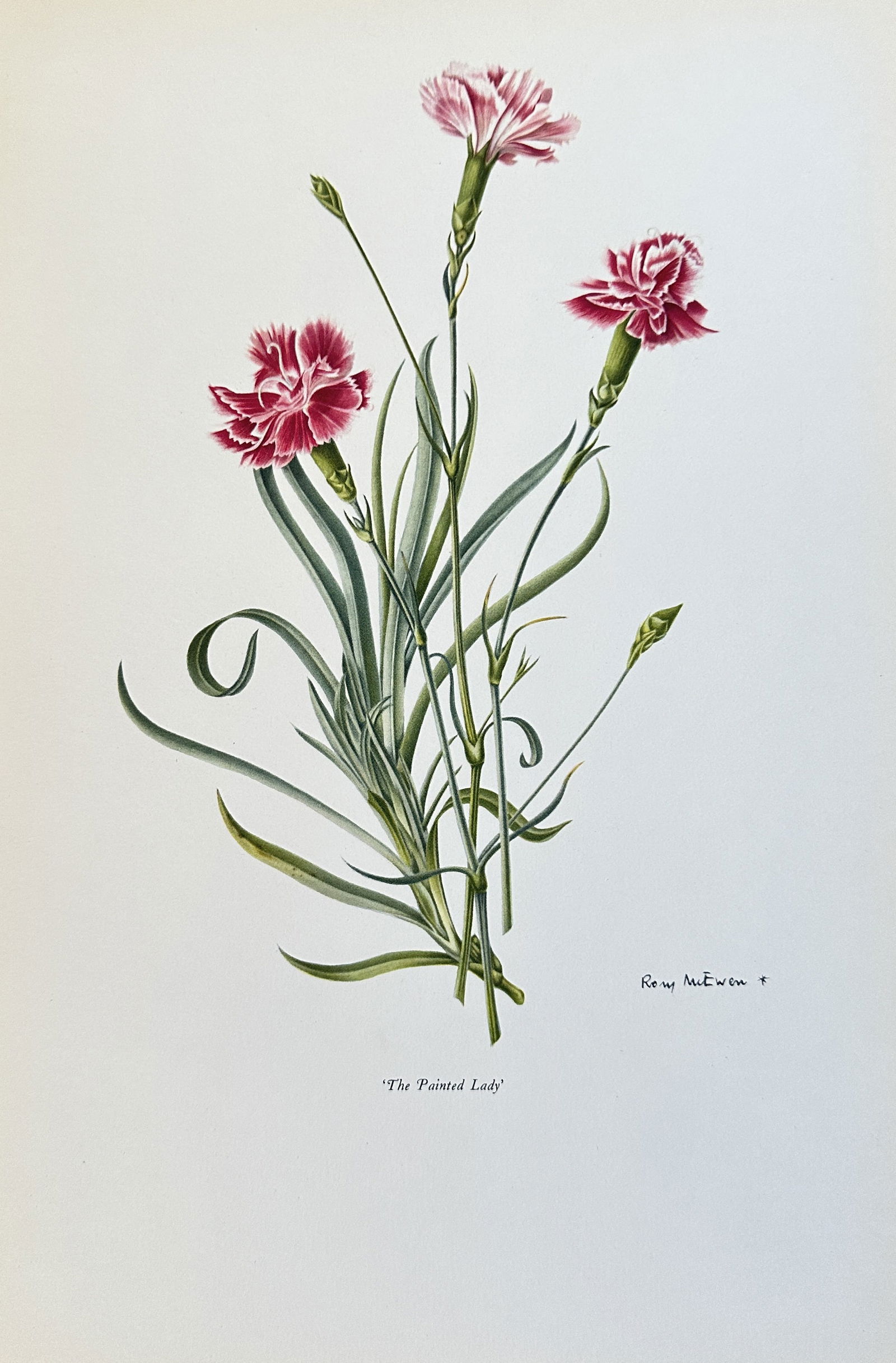 Rory McEwen (1932-2007),after – The Painted Lady – offset lithograph (20th century) (1 of 2)