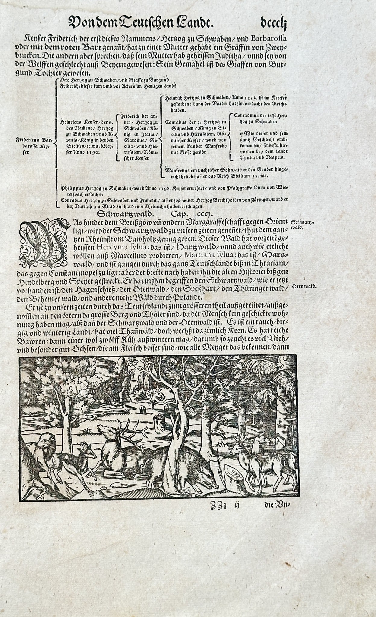 Sebastian Munster  (1488–1552) – The Black Forest and its Wildlife (1 of 3)