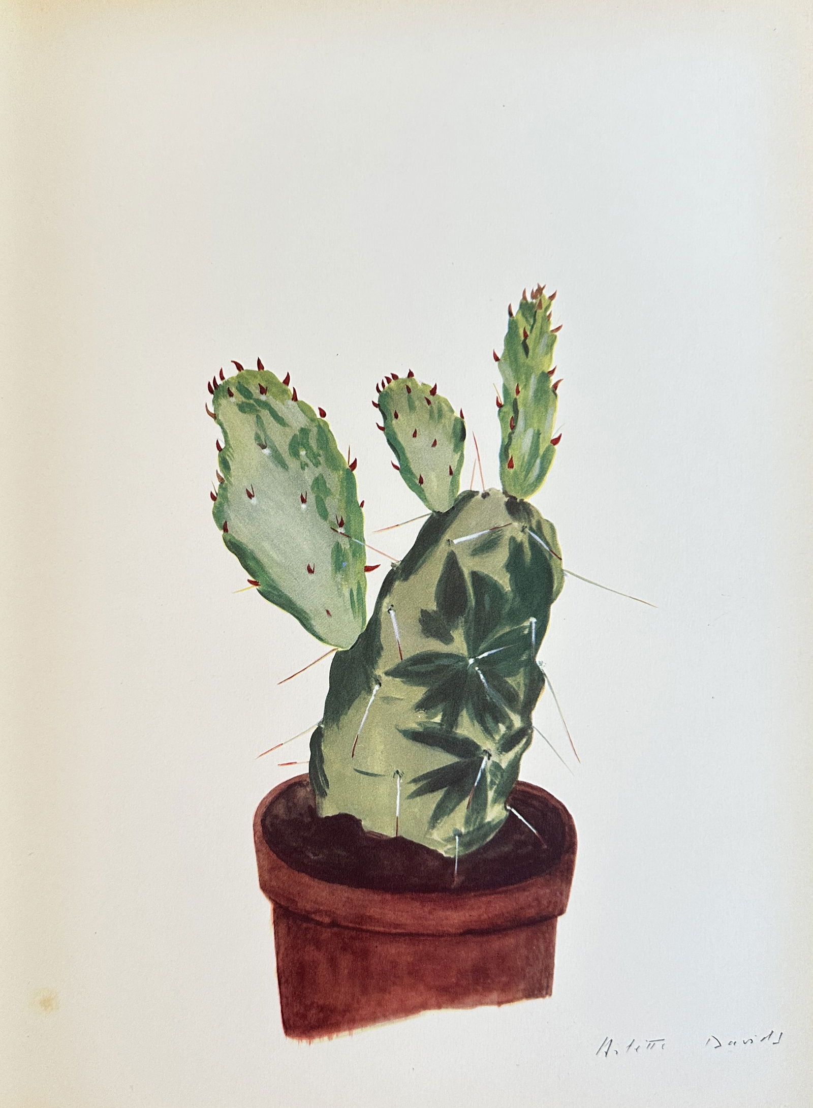 Arlette Davids (1888-1961) – Potted Cactus – Chromolithograph (c. 1950) (1 of 2)