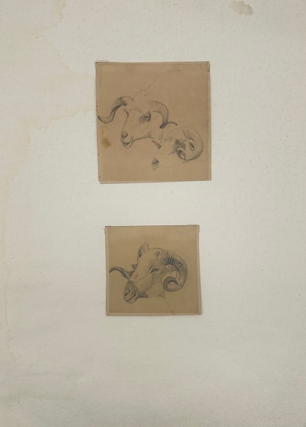 Joseph Heinrich Ludwig Marr – Set of 2 Pencil Drawings of a Ram's Head – 19th (1 of 2)