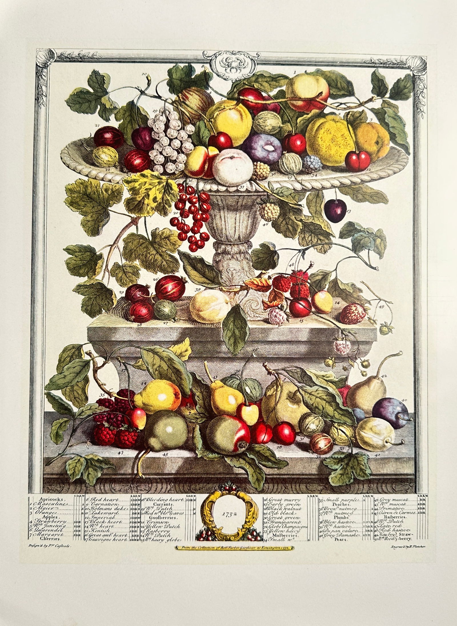 Robert Furber (fl. 1730–1753), after – Tiered Fruit Arrangement – Offset print (20th Century) (1 of 2)