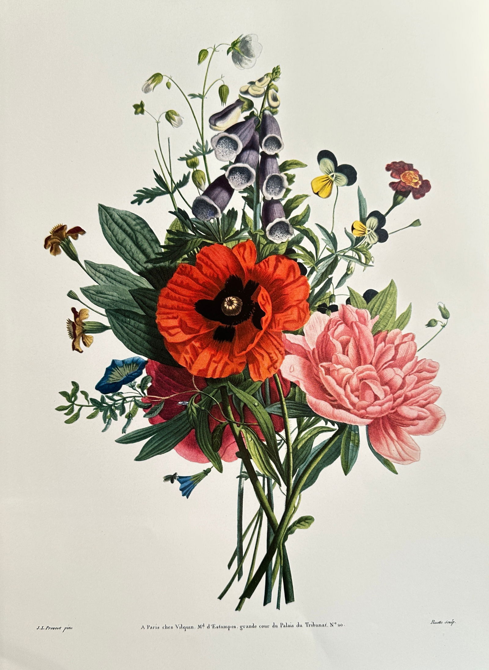 Jean Louis Prevost (1760–1810), after – Bouquet with Poppy, Peony, and Foxglove – Offset print: This Offset print reproduces a classic floral bouquet painted by Jean Louis Prevost, featuring a central red poppy, a pink peony, purple foxglove bells, and other wildflowers. The intricate compositio