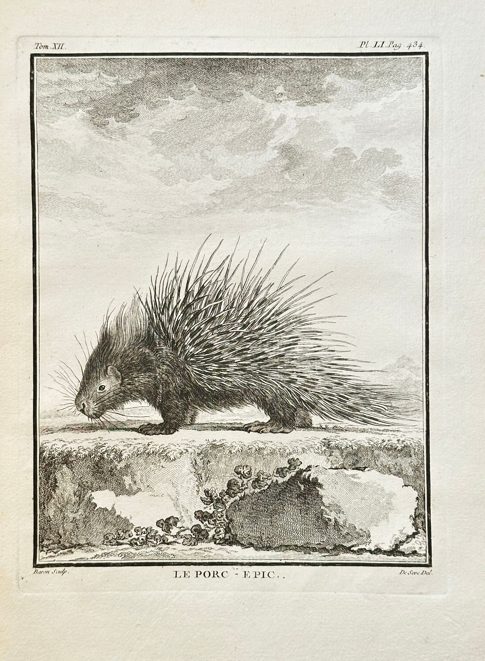 Georges-Louis Leclerc, Comte de Buffon (1707–1788) – The Porcupine – Engraving: This black and white engraving, published for Georges-Louis Leclerc, Comte de Buffon's monumental Histoire Naturelle, illustrates The Porcupine (Le Porc-Épic). The large rodent is shown in profile, w