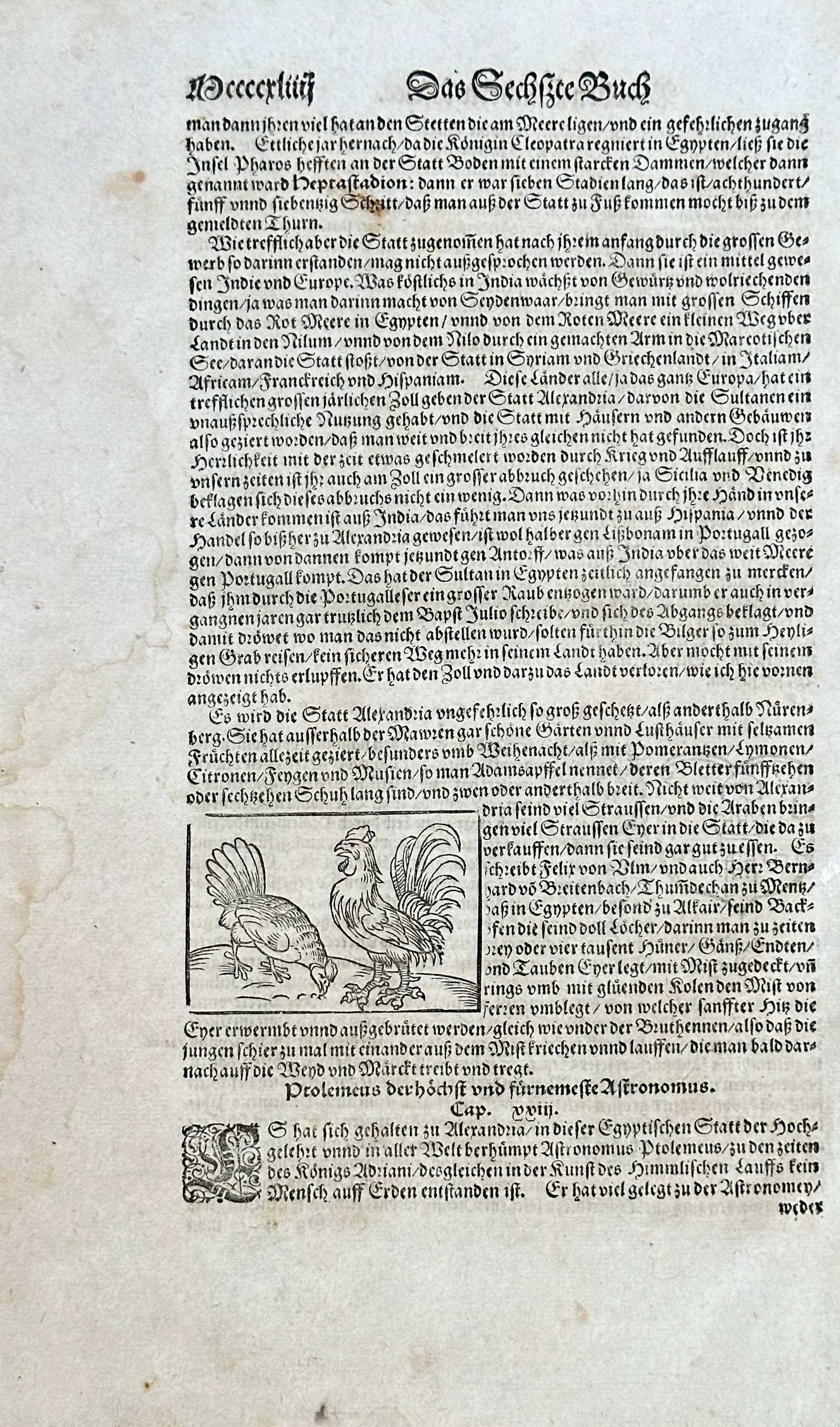 Sebastian Münster – Rooster and Hen (Illustration for "The Sixth Book") – Woodcut (Circa 1570): This sheet is an original text and woodcut page, taken from a section discussing the geography and natural history of Egypt and the city of Alexandria. The page features a central woodcut illustration