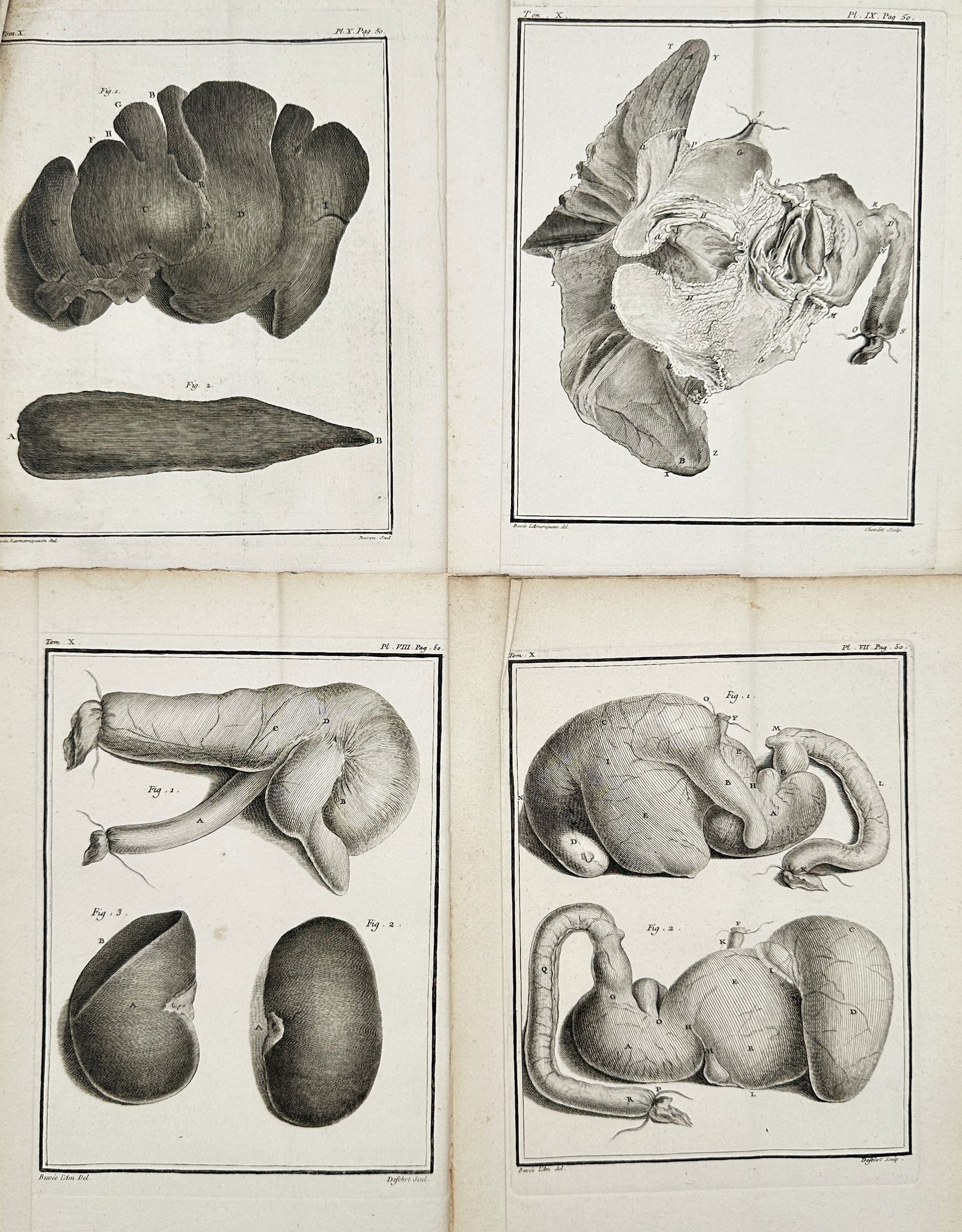 Georges-Louis Le Clerc, Comte de Buffon – Set of 4: Comparative Anatomy of Visceral Organs –: This set of four copperplate engravings from the monumental French natural history encyclopedia, Histoire Naturelle, générale et particulière, presents a detailed comparative study of visceral orga
