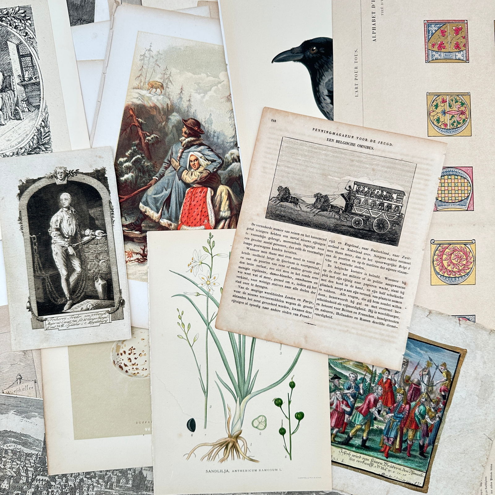 Various Artists – Lot of 80: Historical Prints featuring Botanical, Transport, and Royal Subjects (1 of 4)