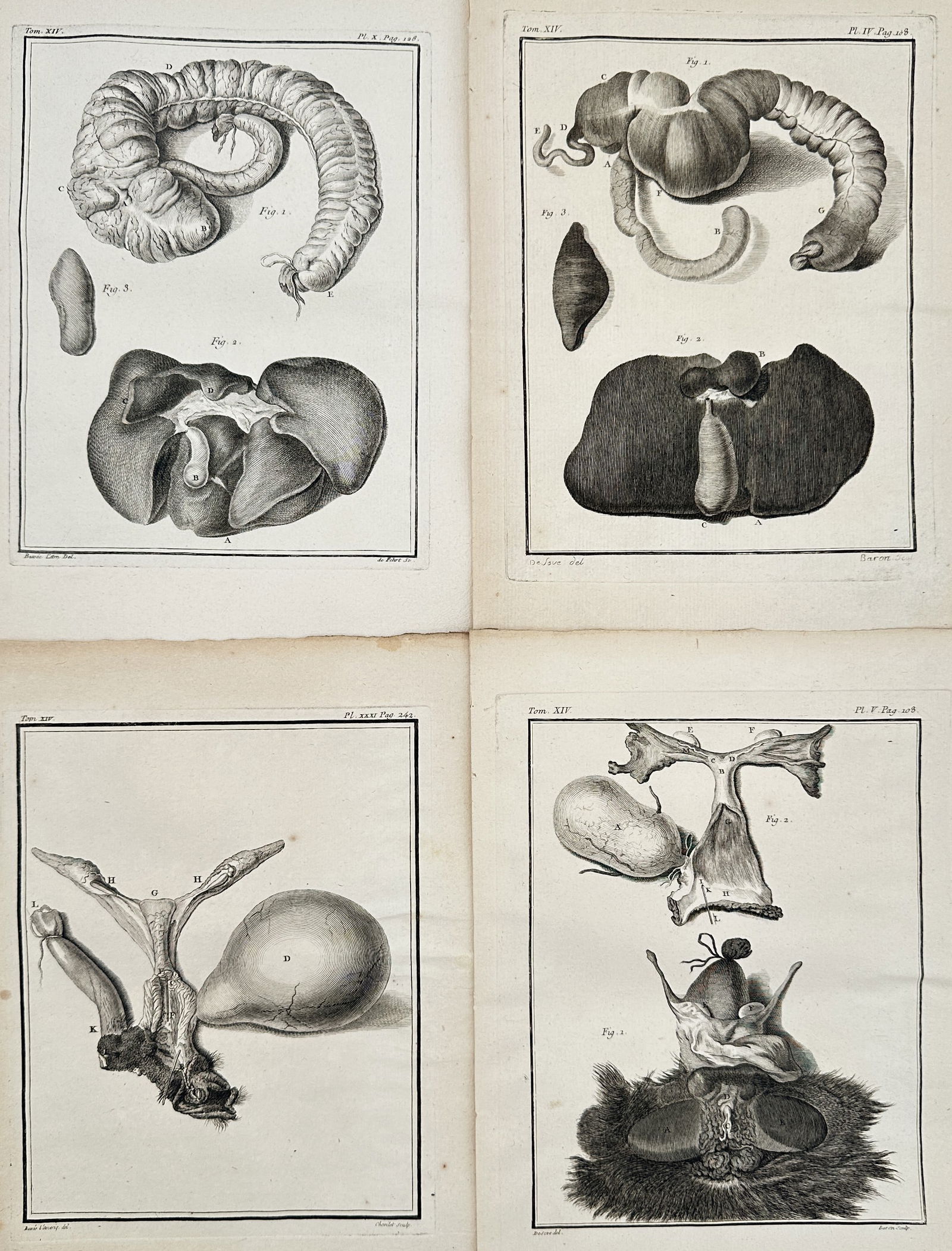 Georges-Louis Le Clerc, Comte de Buffon – Set of 4: Plates (Liver/Stomach)– Engraving: This set of four copperplate engravings from the monumental French natural history encyclopedia Histoire Naturelle, générale et particulière presents detailed anatomical studies of various organs,