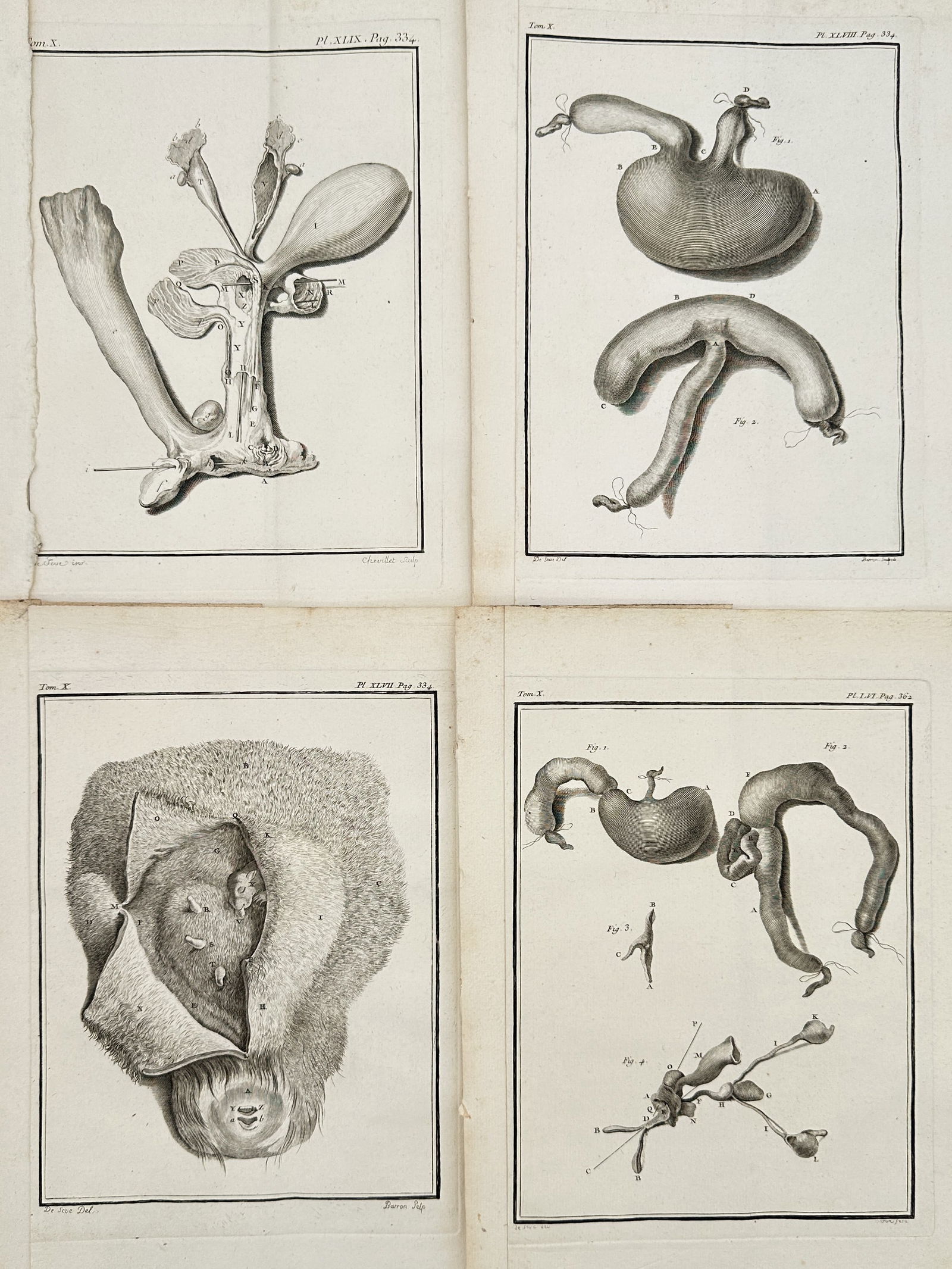 Georges-Louis Le Clerc, Comte de Buffon – Set of 4: (Viscera and Internal Organs) – Engraving: This set of four copperplate engravings is drawn from the extensive anatomical section of Buffon’s Histoire Naturelle, générale et particulière. The prints present intricate studies of internal a