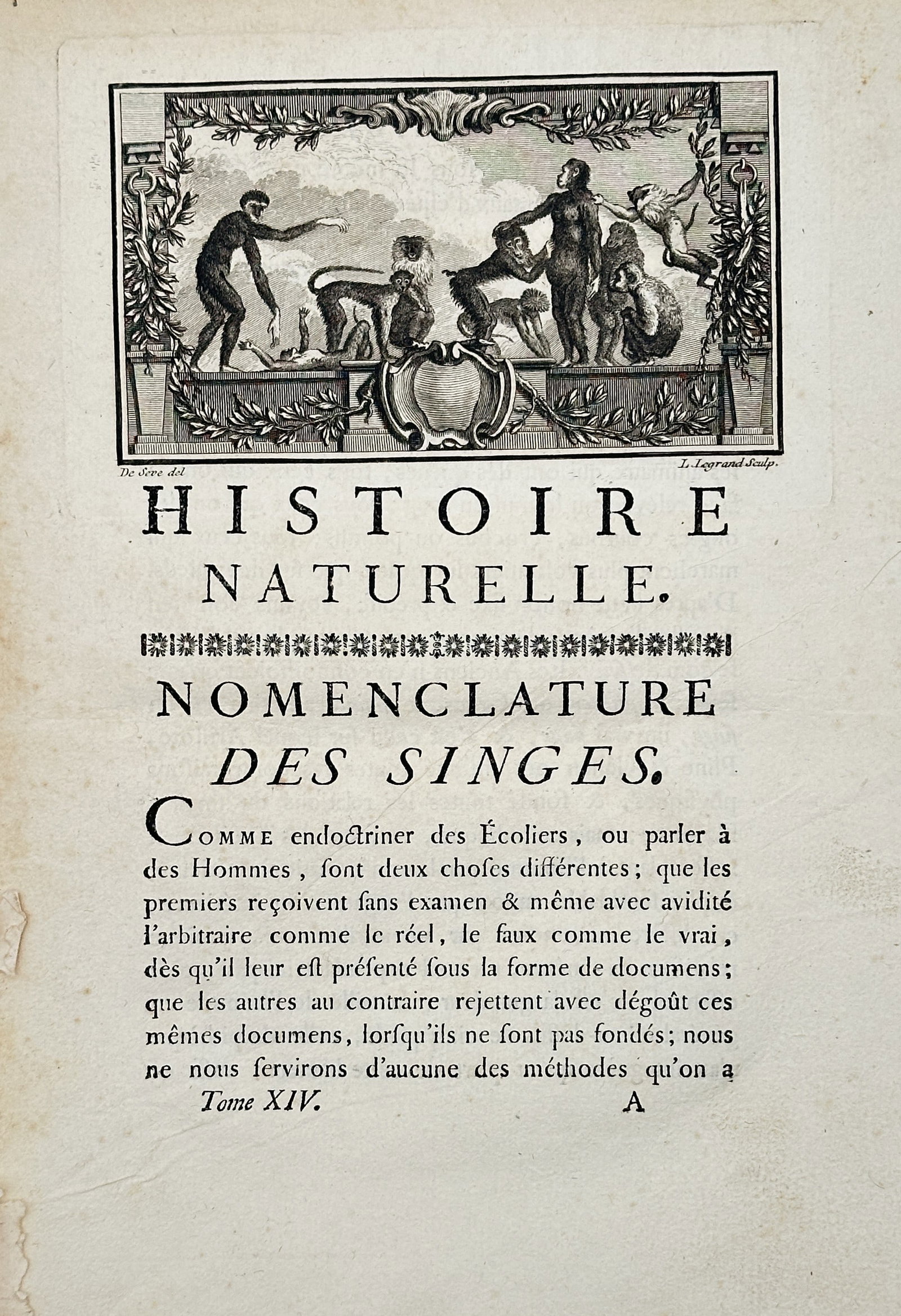 Georges-Louis Leclerc, Comte de Buffon (1707–1788) – Frontispiece: Nomenclature of Monkeys (1 of 2)