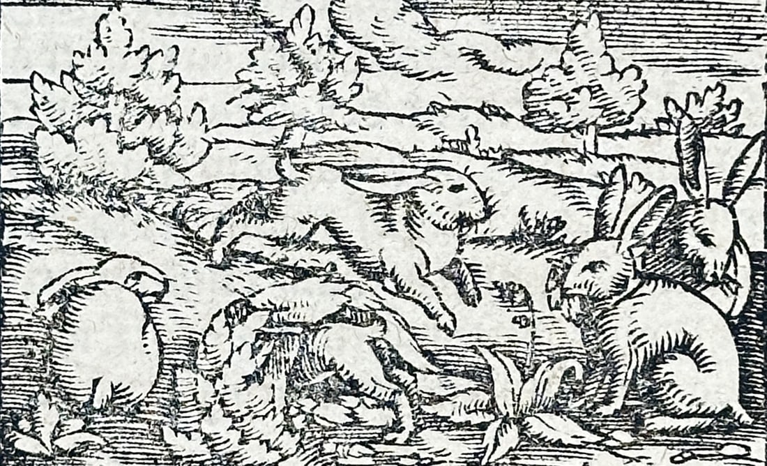 Sebastian Münster – Coastal Scene with Sea Monster and Ships, from Cosmographia – Woodcut: This folio leaf is a print from the influential work Cosmographia, featuring German text from the section Von Hispania (Of Spain). The page includes a central woodcut illustrating a fantastical mariti