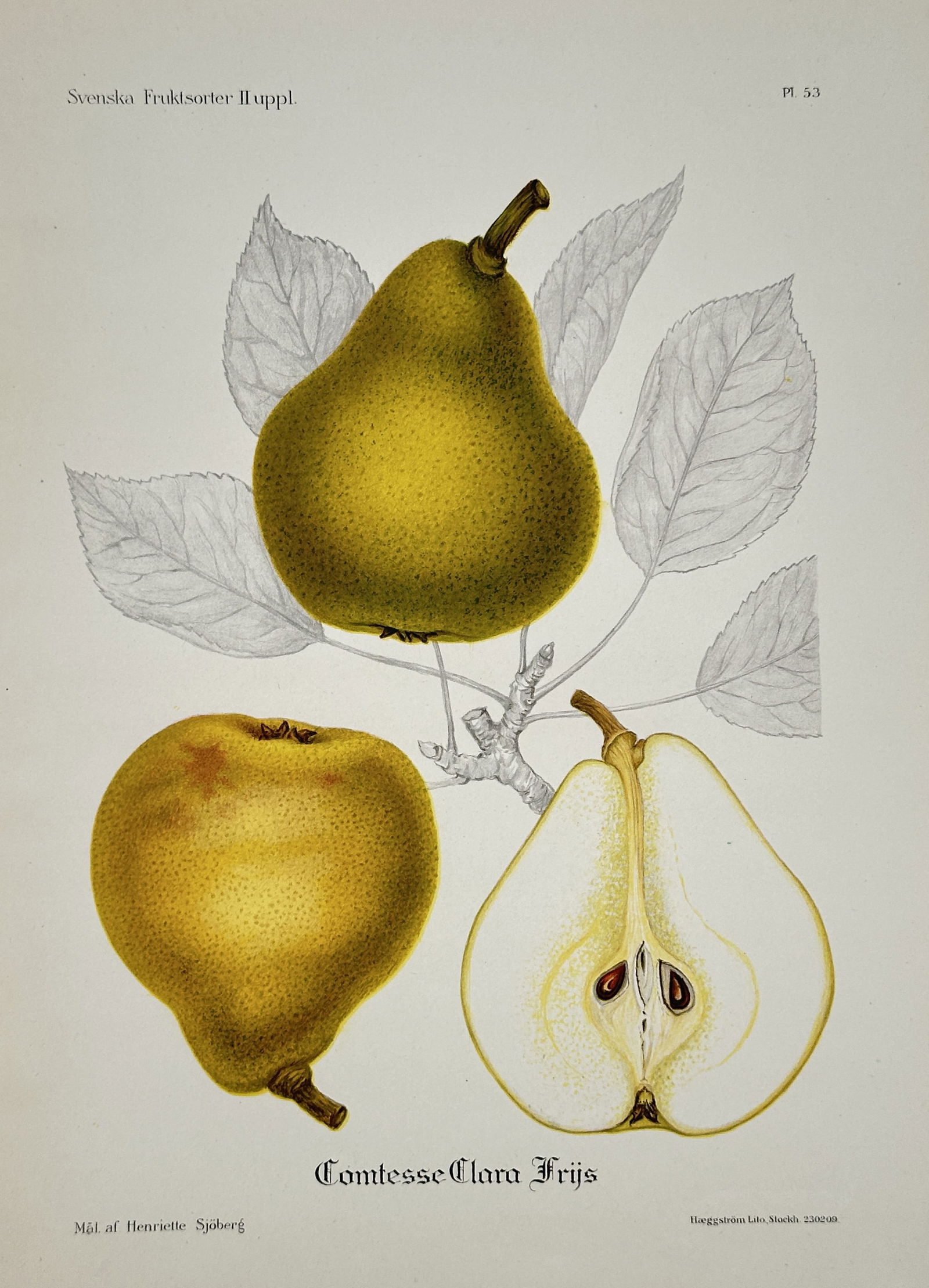 Henriette Sjöberg (1842–1915) – Countess Clara Frijs Pear – Offset print (20th Century) (1 of 2)