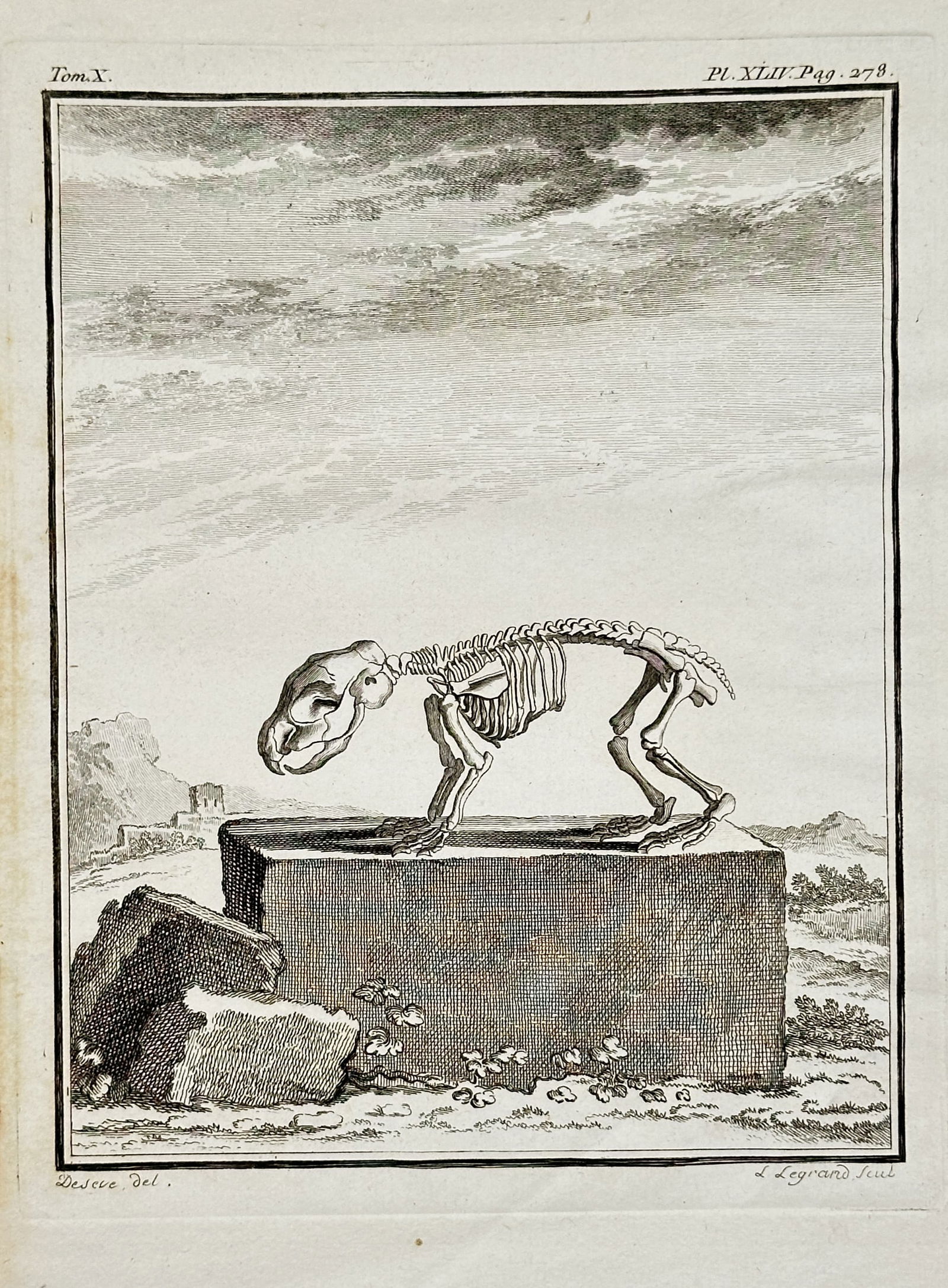 Georges-Louis Leclerc, Comte de Buffon – Skeleton of a Small Rodent – Engraving (Circa 1763) (1 of 2)